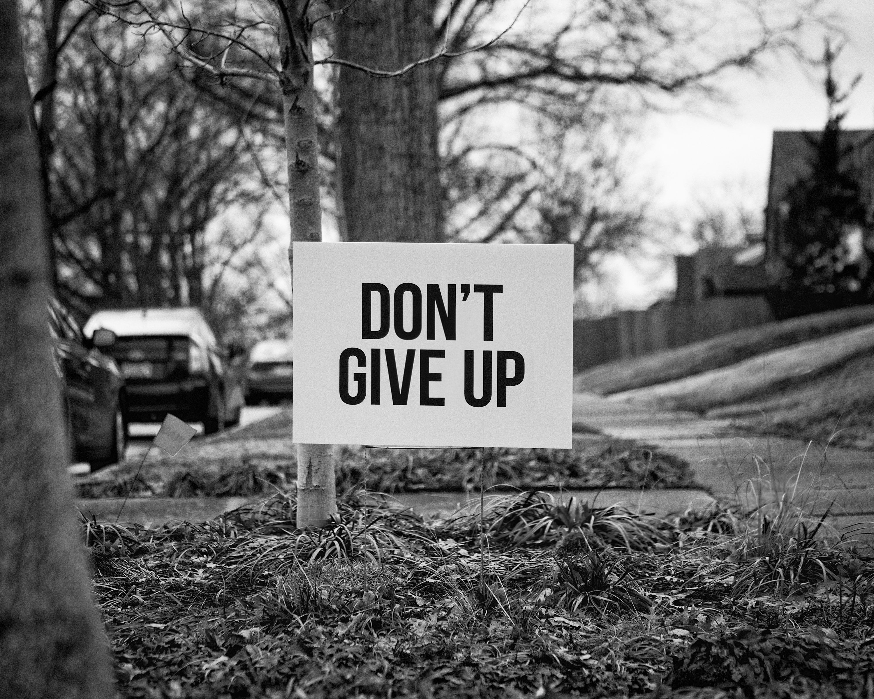 3000x2400 Never Give Up Picture. Download Free Image