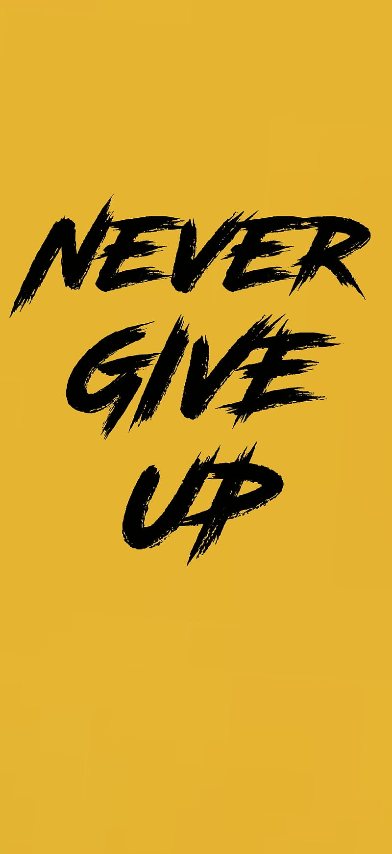 800x1741 Cool, frases, inspiration, never give up, HD phone wallpaper