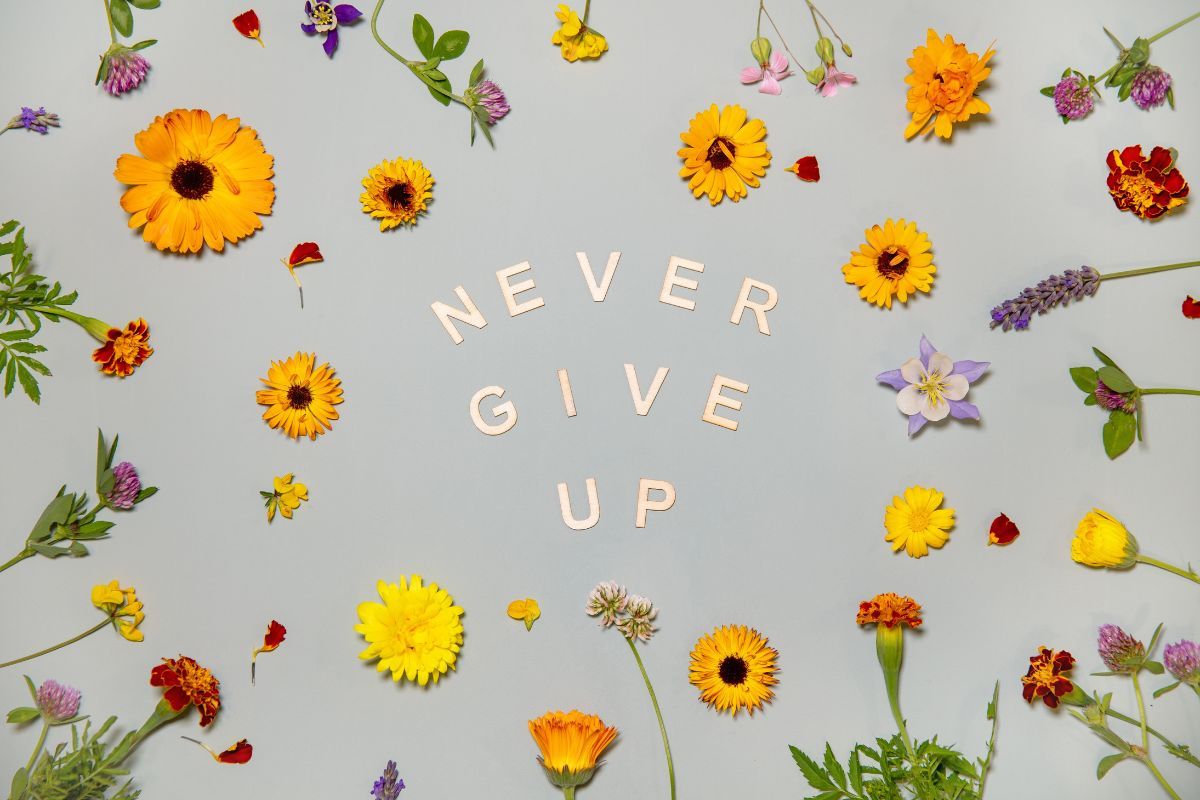 1200x800 Never Give Up, Motivational Wallpaper for Wall®
