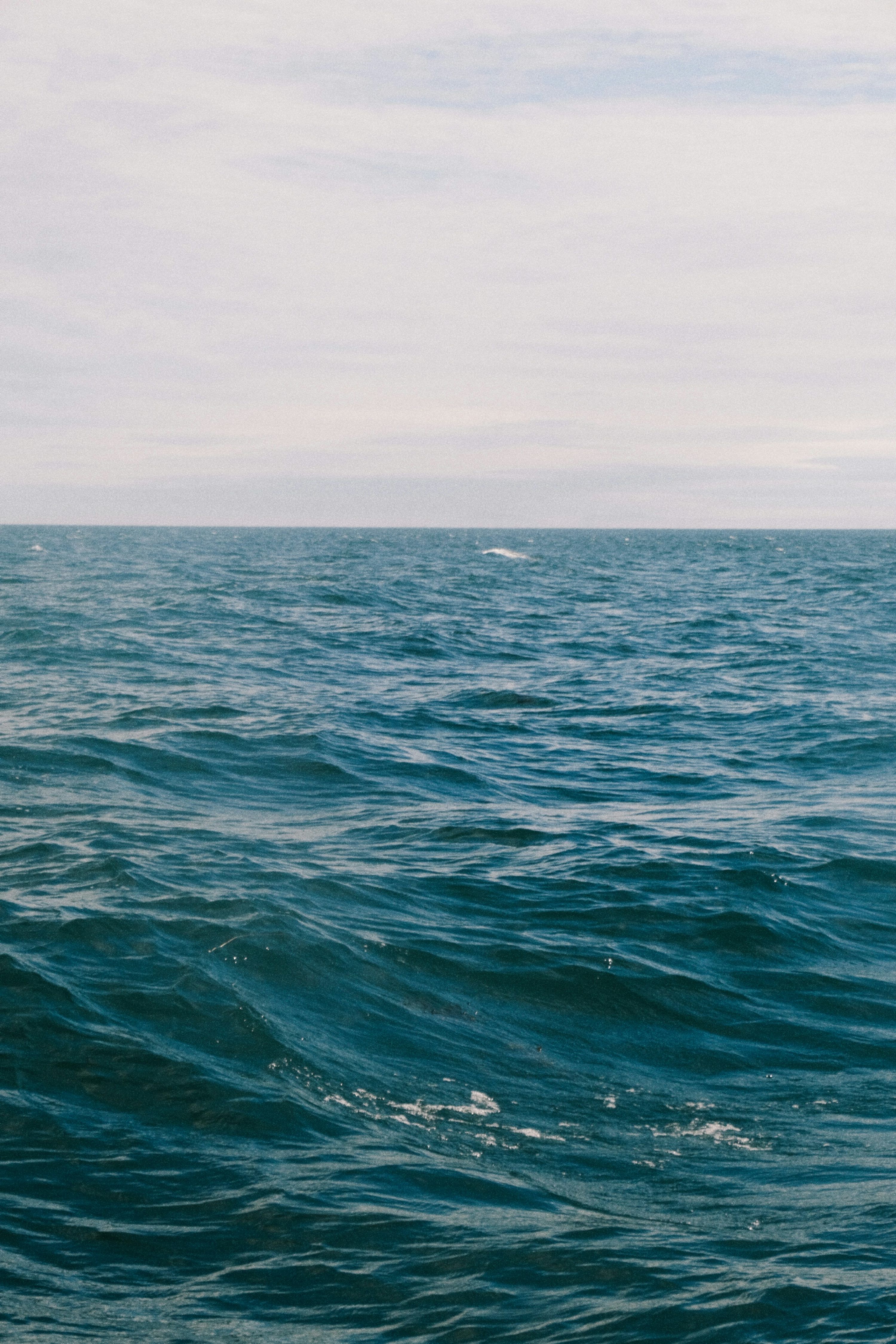 3000x4501 Open Ocean Picture. Download Free Image