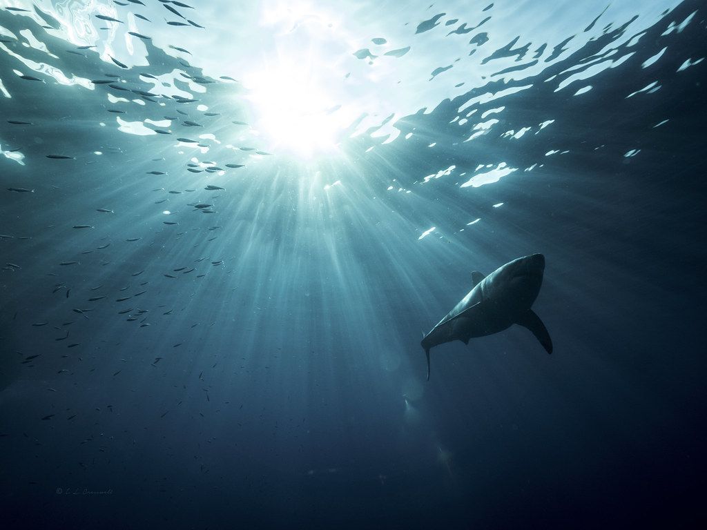 1024x768 Open Ocean. This photograph was taken during a photography
