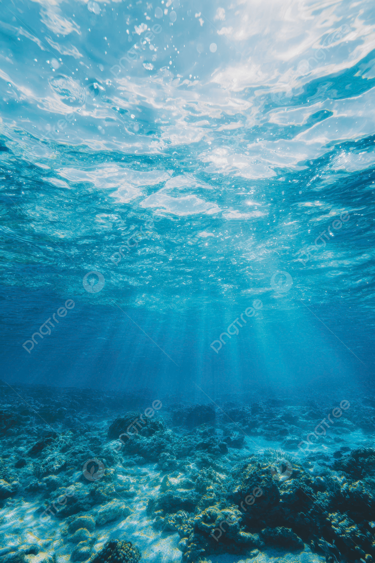 1200x1800 Open Ocean Underwater With Layered Blue Light Background Wallpaper Image For Free Download