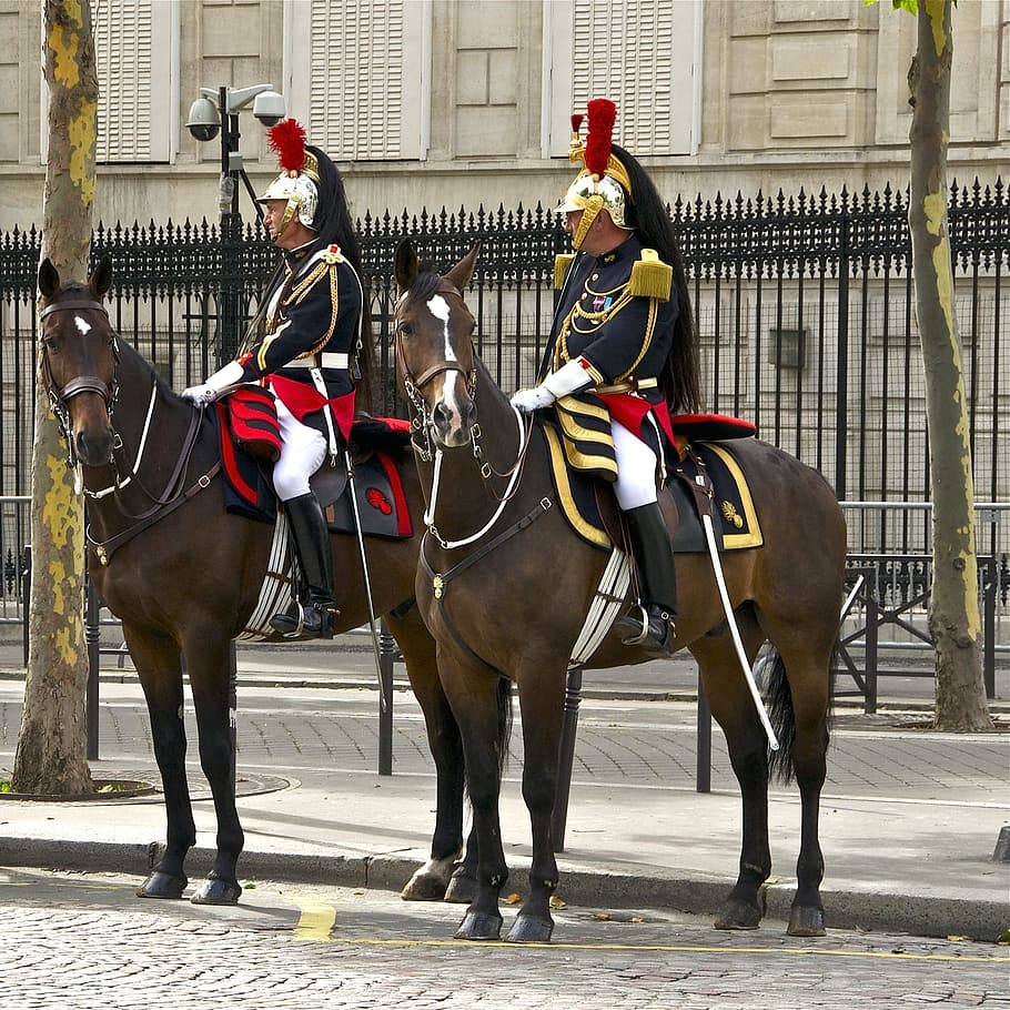 910x910 HD wallpaper: france, paris, horses, military, guards, outside, cavalry, city