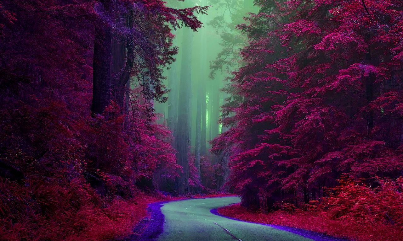 1280x768 Nature Path Scenery