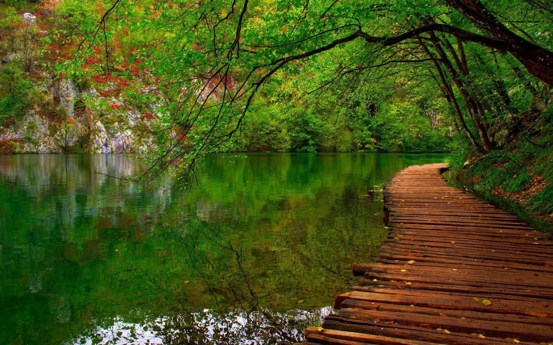 1920x1200 Nature River Wooden Path HD Widescreen Wallpaper
