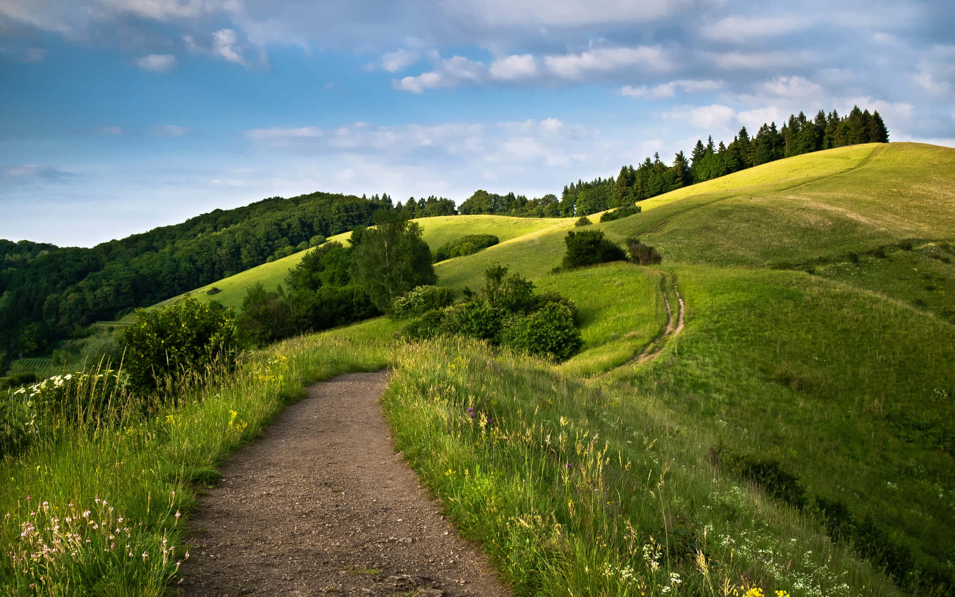 1920x1200 Path Background