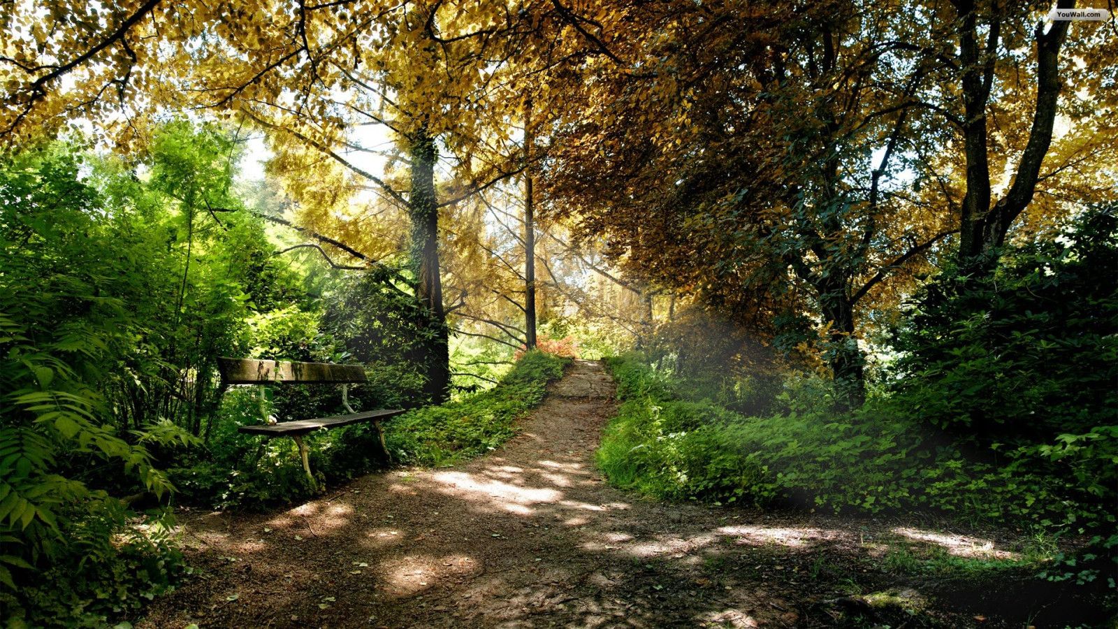 1600x900 Forest Path Wallpaper HD 25685