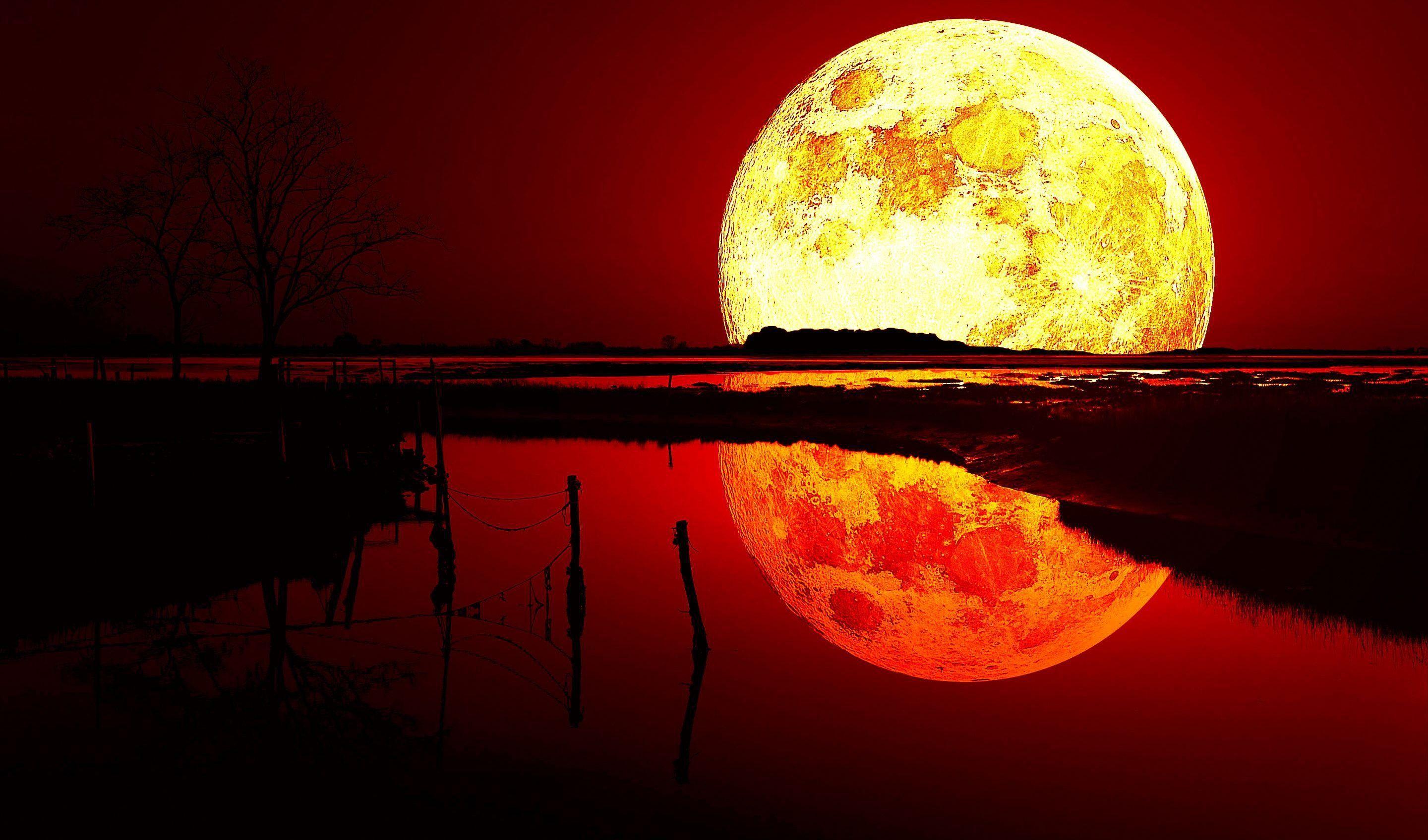 2880x1695 Bloody 4K Wallpaper .