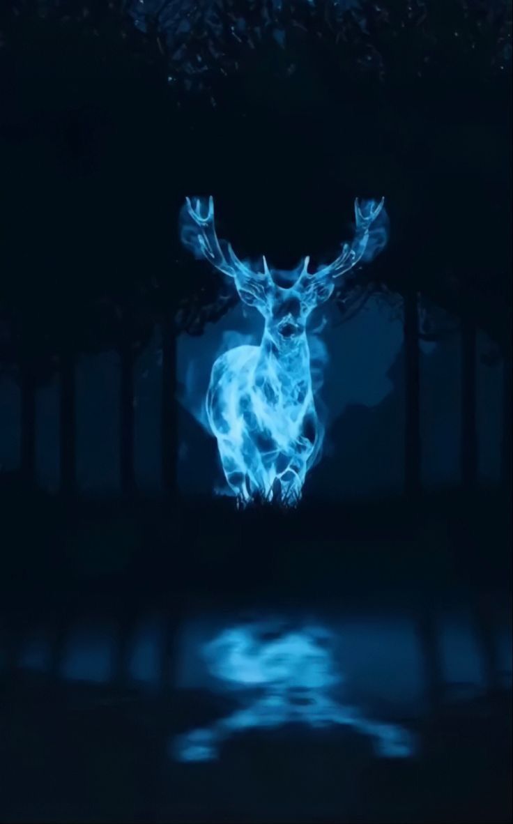 736x1182 Harry potter deer wallpaper. Harry potter blue aesthetic wallpaper, Patronus background, Harry potter azul