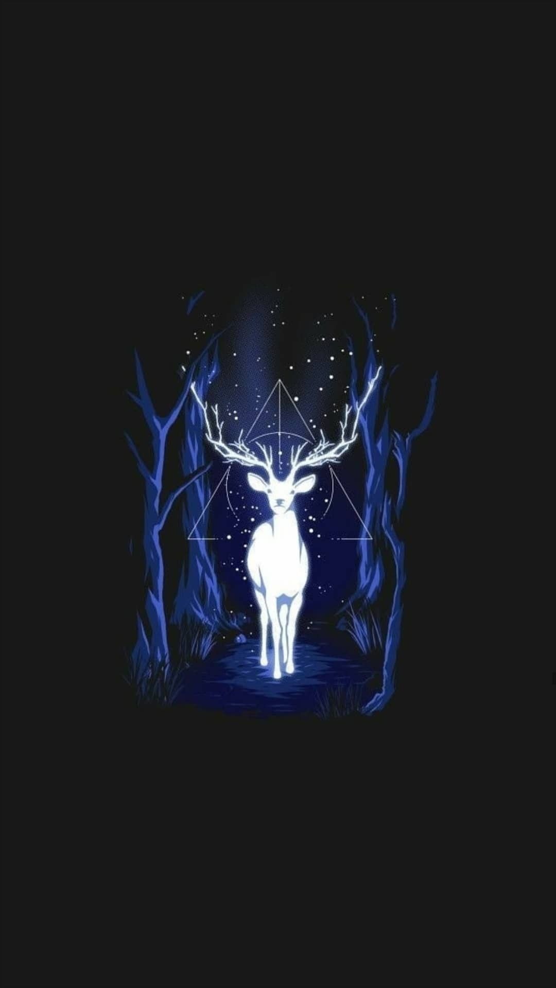1080x1920 Harry Potter Patronus Wallpaper