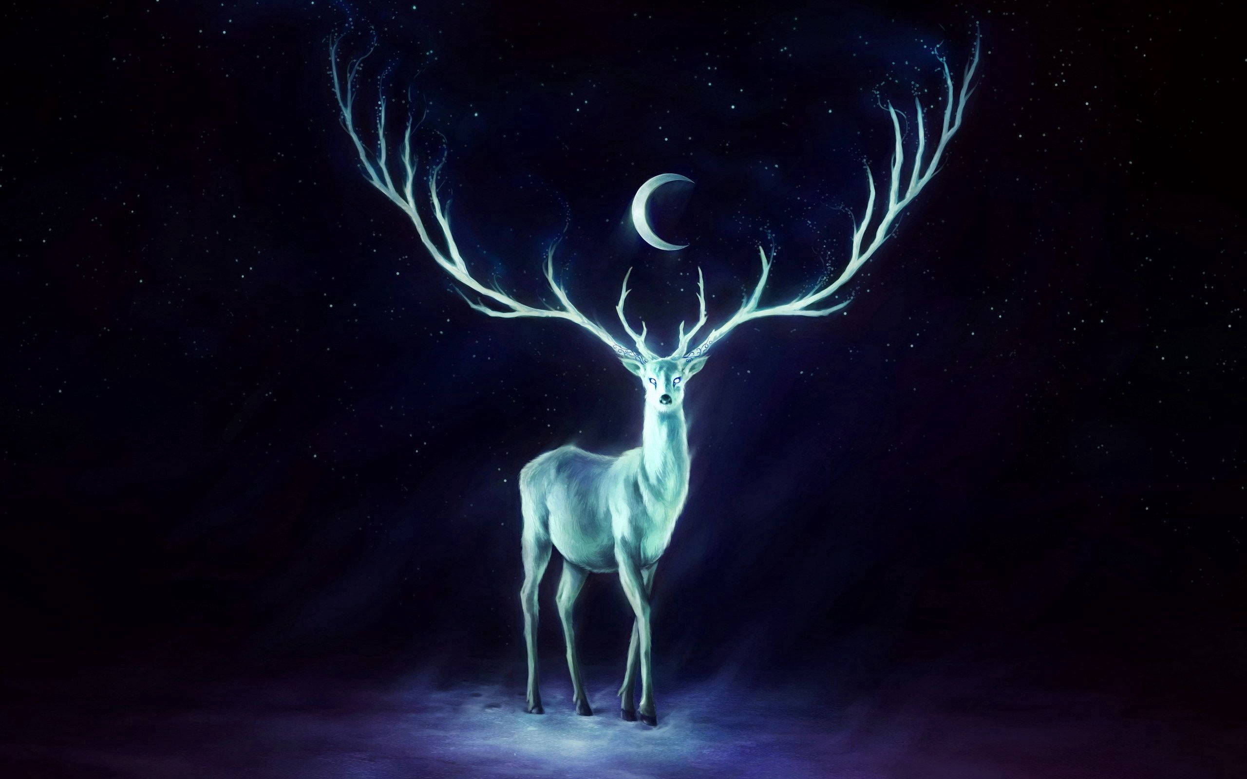 2560x1600 Download A mystical deer forms the shape of the Patronus Charm. Wallpaper