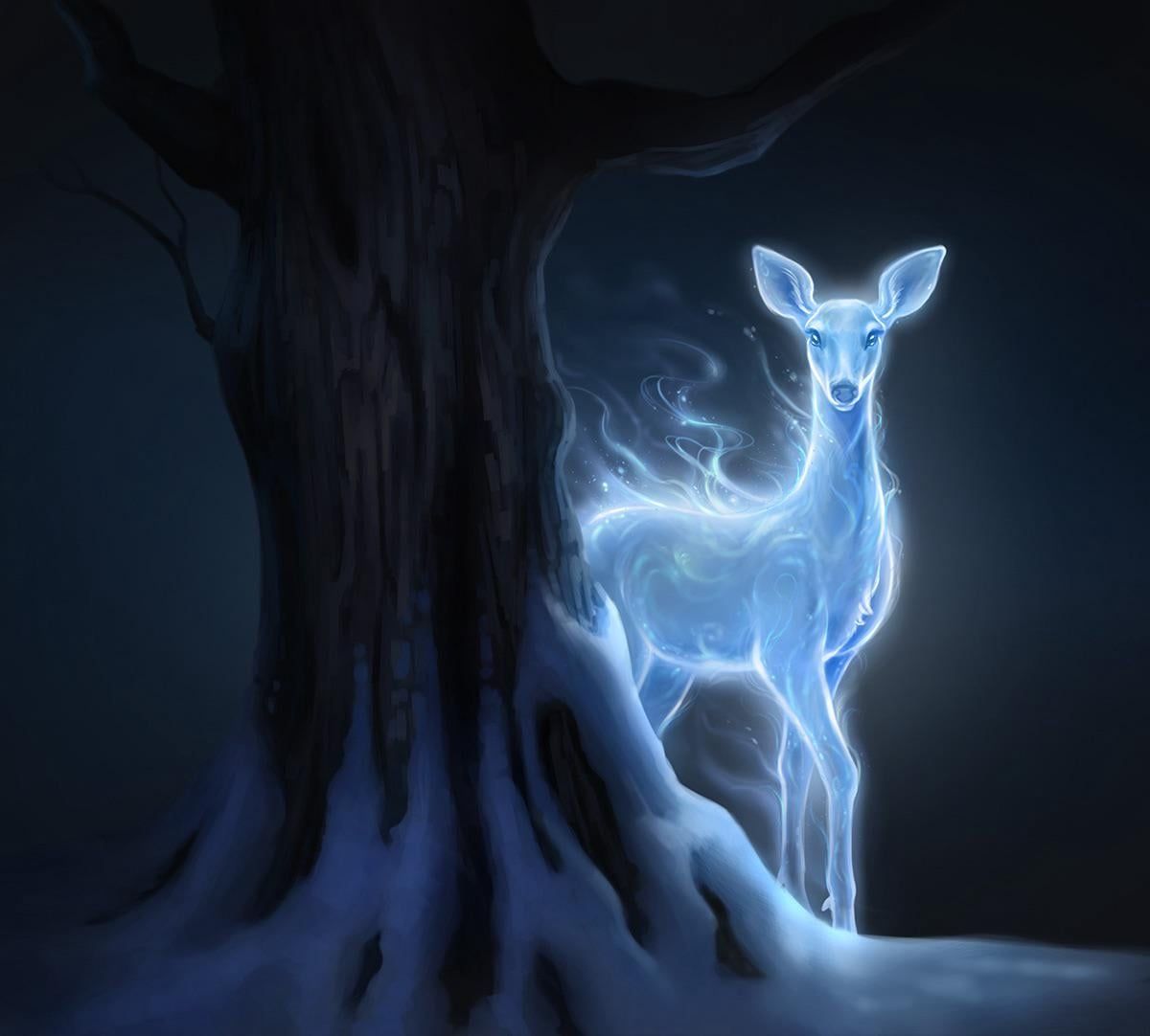 1200x1082 Is it actually uncommon for wizards to have the same patronus?