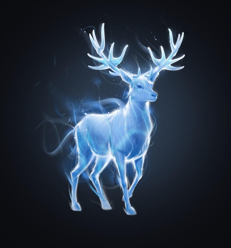 914x983 Harry Potter. What can a Patronus say about a character?