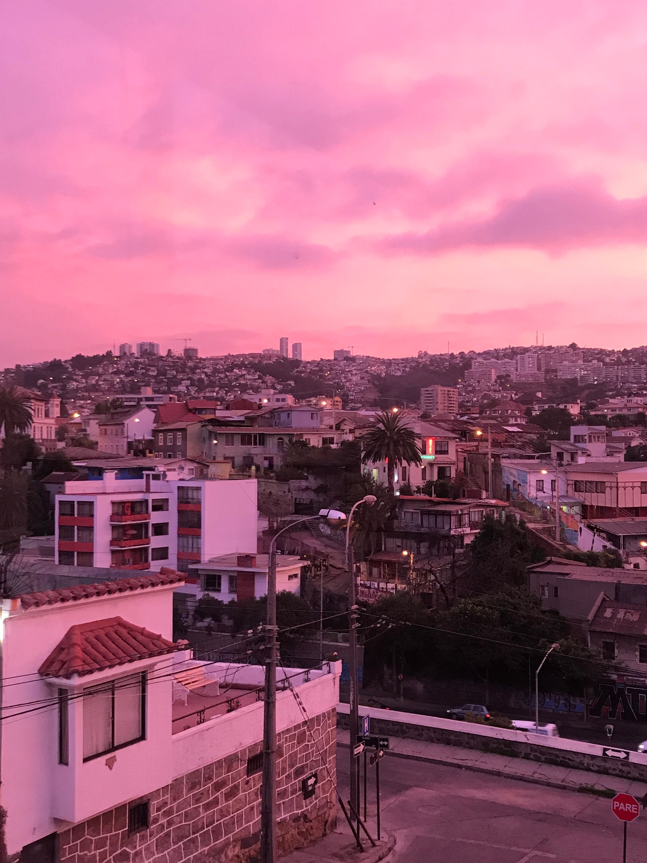 2094x2792 Some Pink Things Sara Meinecke