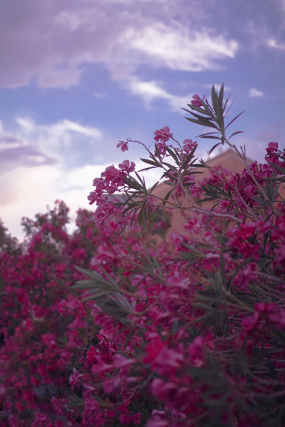 910x1365 Its the little things 1080P, 2K, 4K, 5K HD wallpaper free download