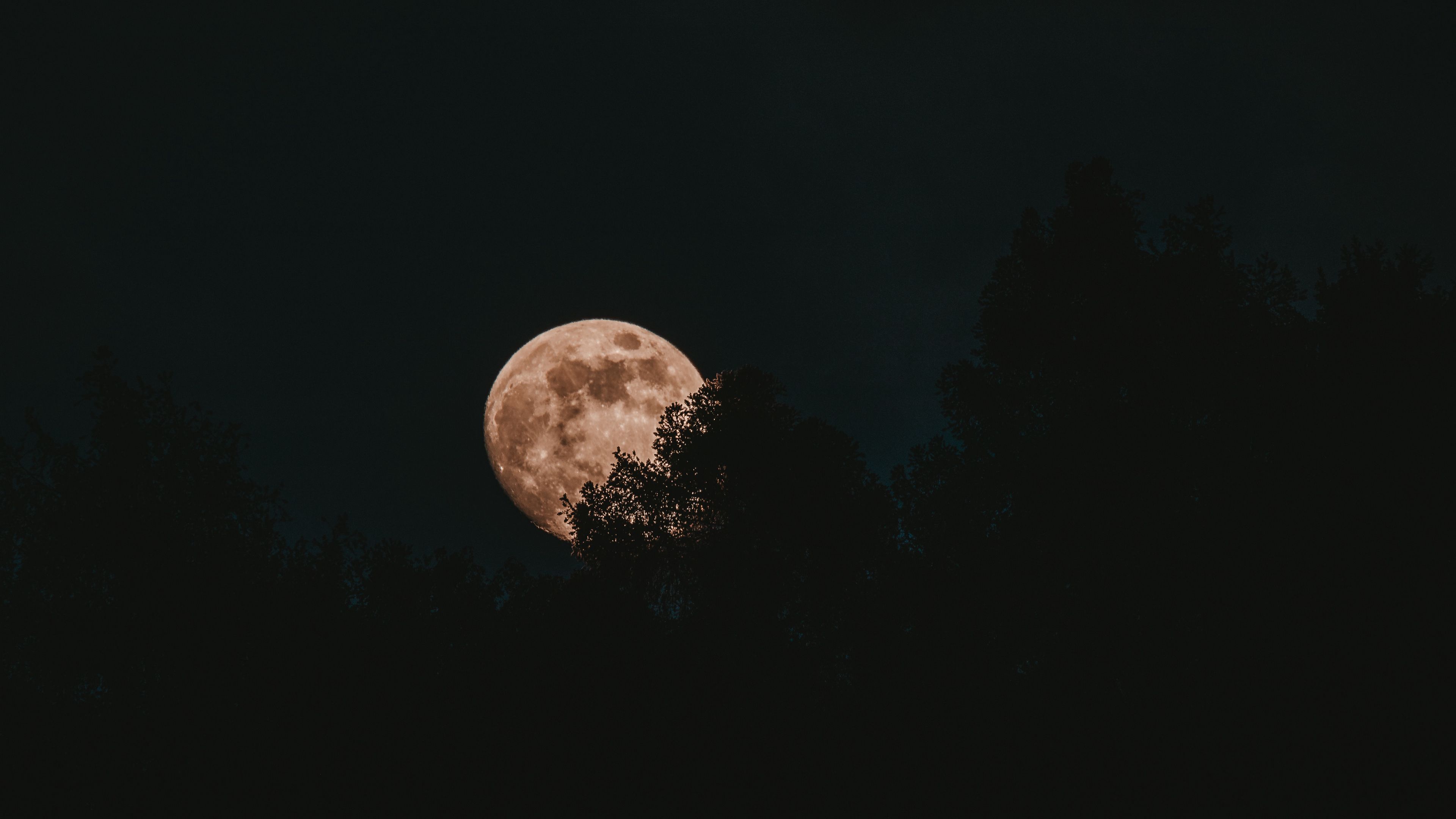 3840x2160 Full Moon Trees Sky Background 4K HD Moon Wallpaper