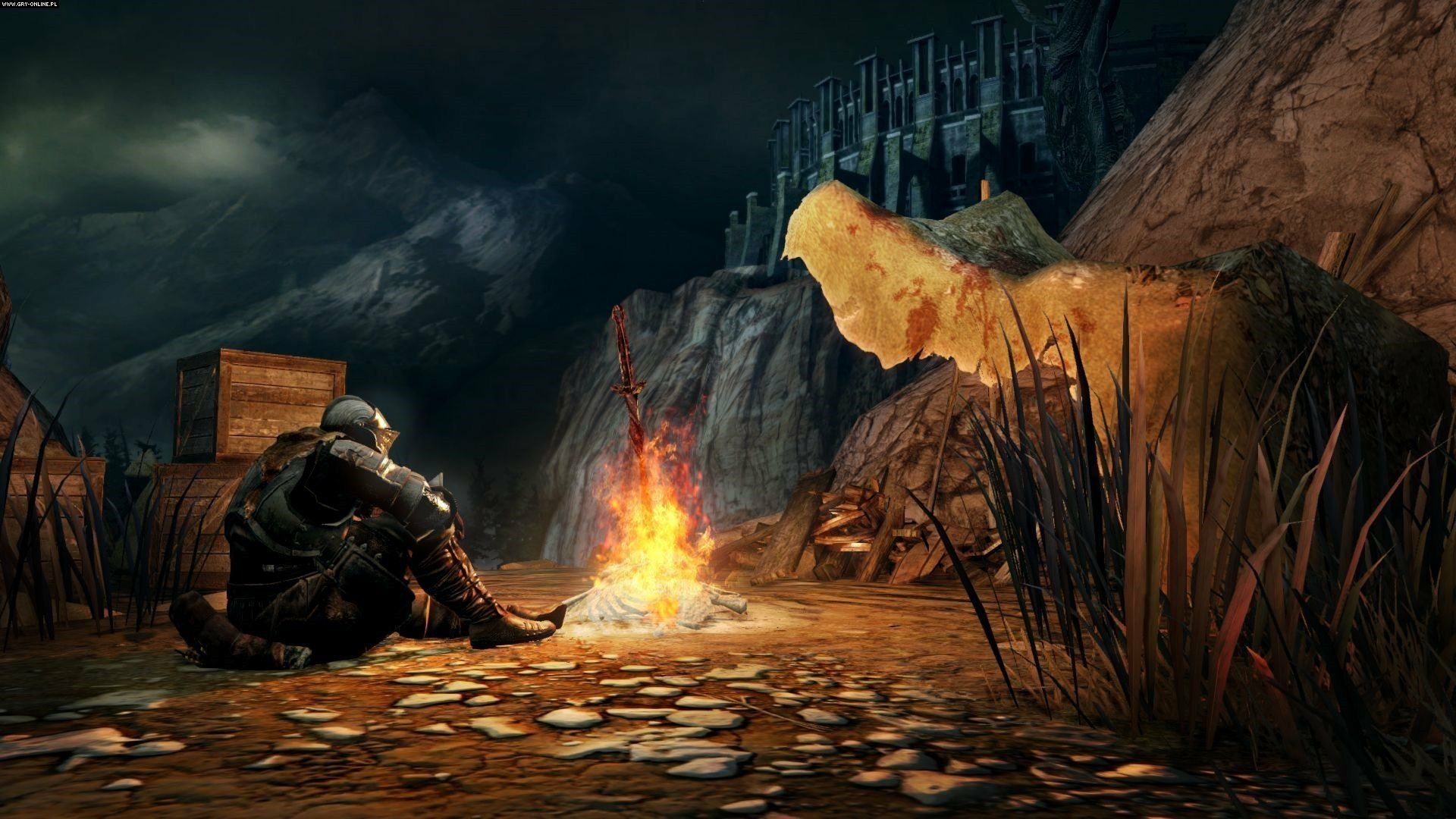 1920x1080 Dark Souls II HD Wallpaper: Lone Warrior