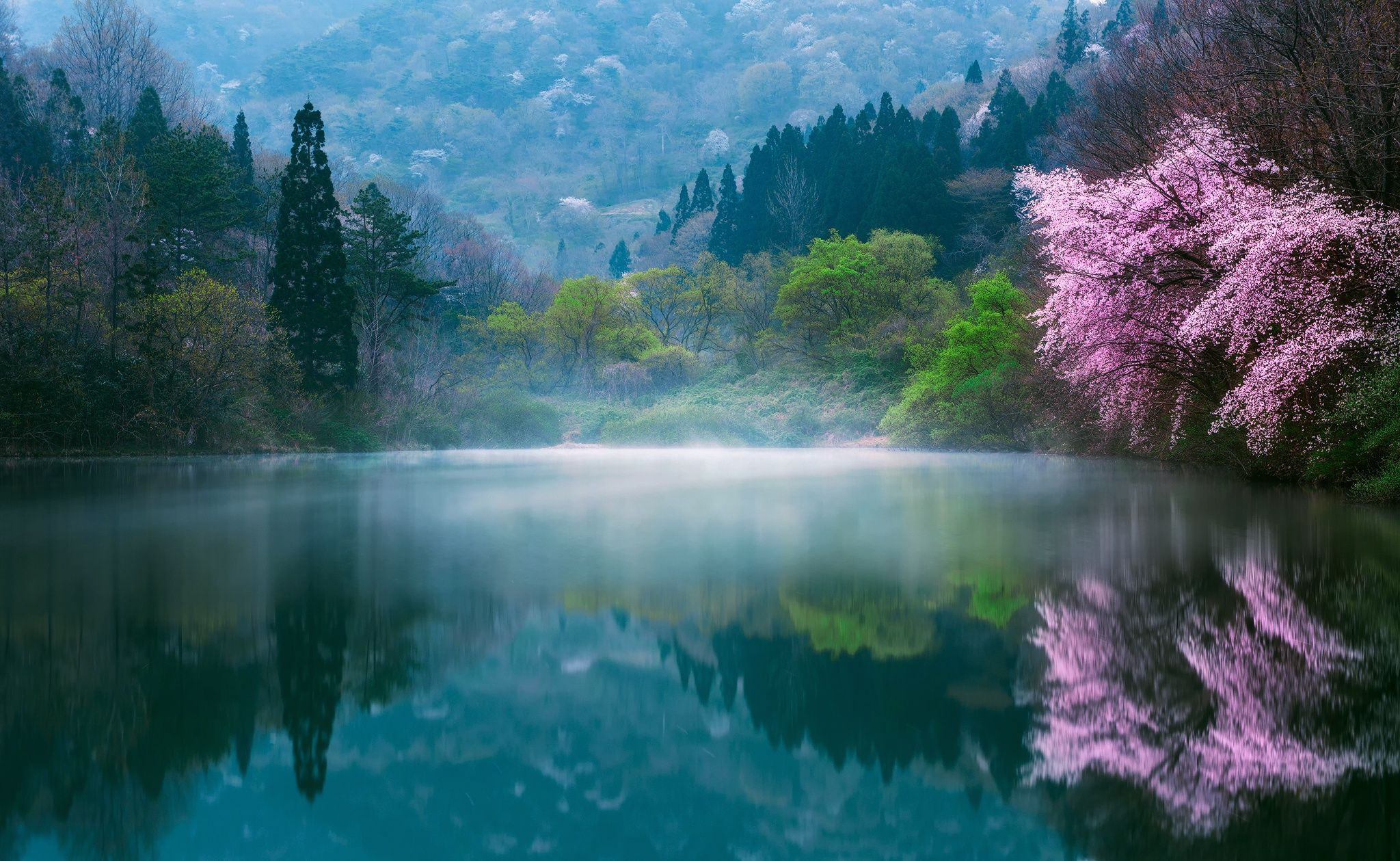 2048x1259 Wallpaper flowers, nature, fog, lake, spring, Japan, Sakura, haze for mobile and desktop, section природа, resolution 2048x1259