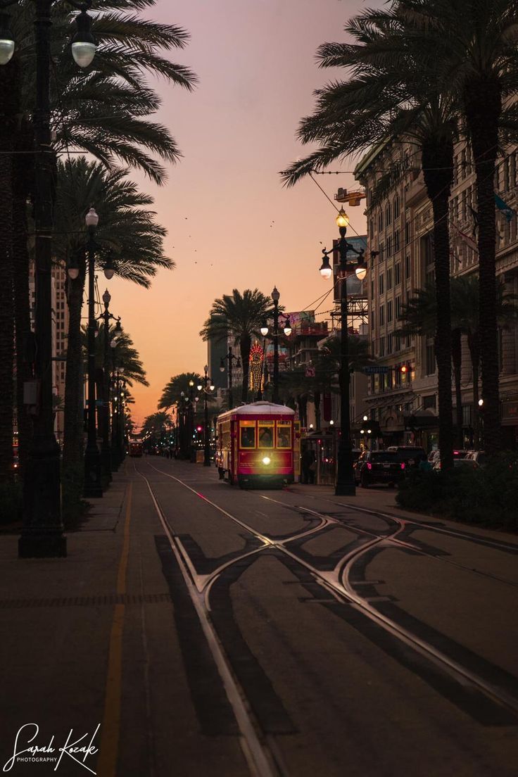 736x1104 New Orleans Streetcar Photography Print, Louisiana Cityscape Art, Street Car Landscape Home Decor, NOLA Wall Art, Street Photography