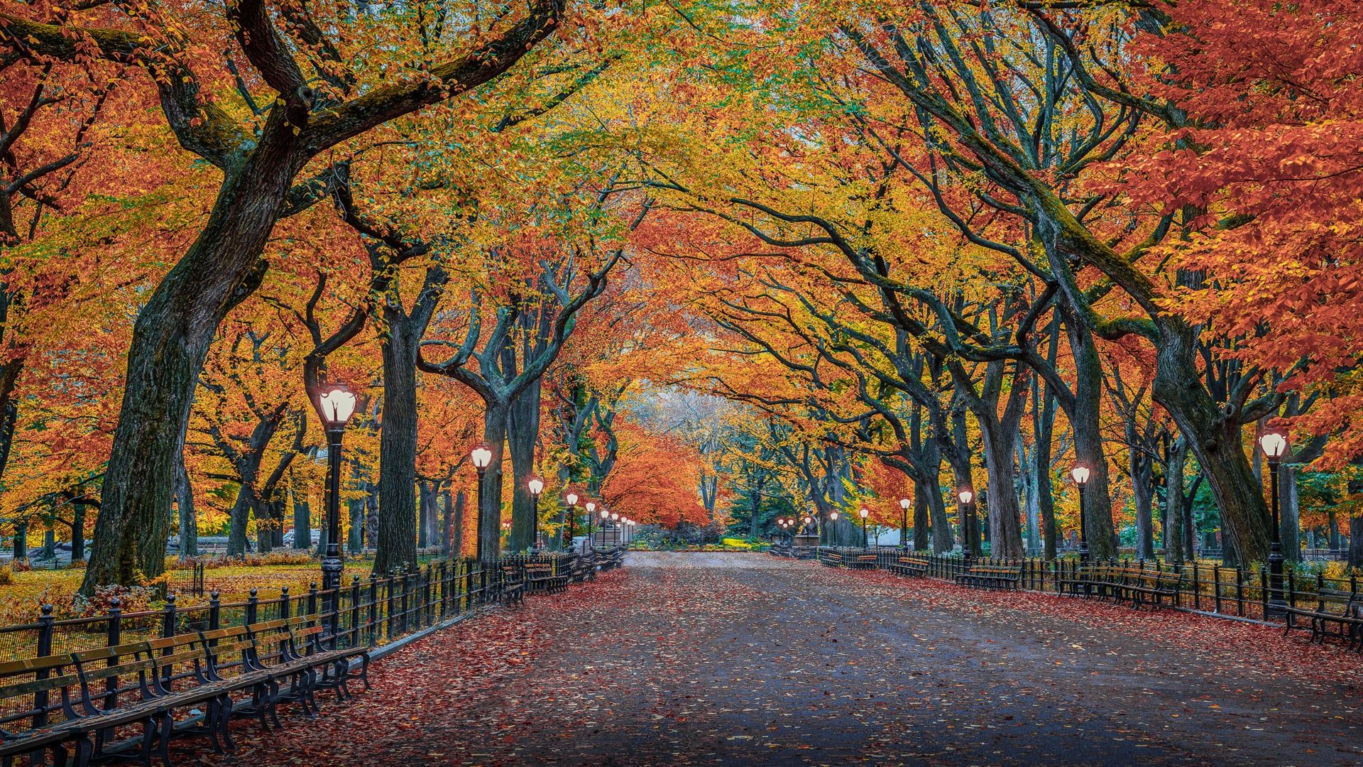1920x1080 Autumn Colors In Nature Herbst Park New York ( 1920*1080 )