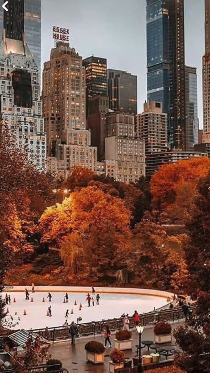 736x1308 Fall in the City. Skyline Wallpaper