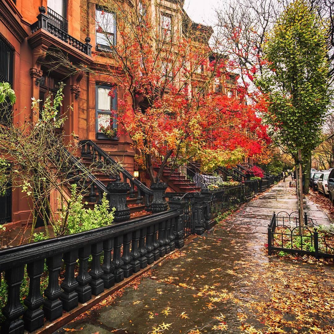 1080x1080 Best Autumn in New York ideas. autumn in new york, nyc autumn, new york city autumn scenery