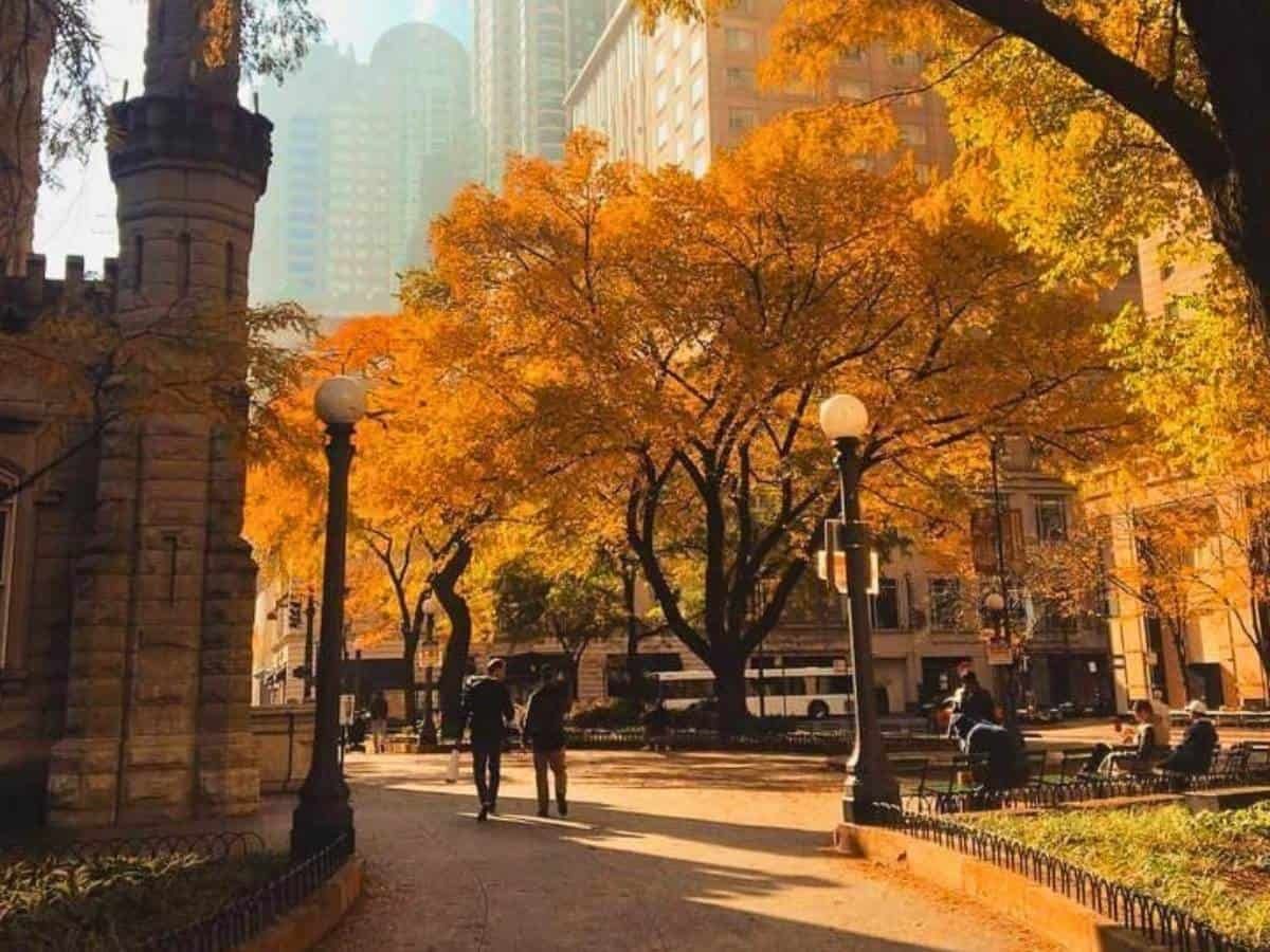 1200x900 Best Things to Do and See in Fall in New York City