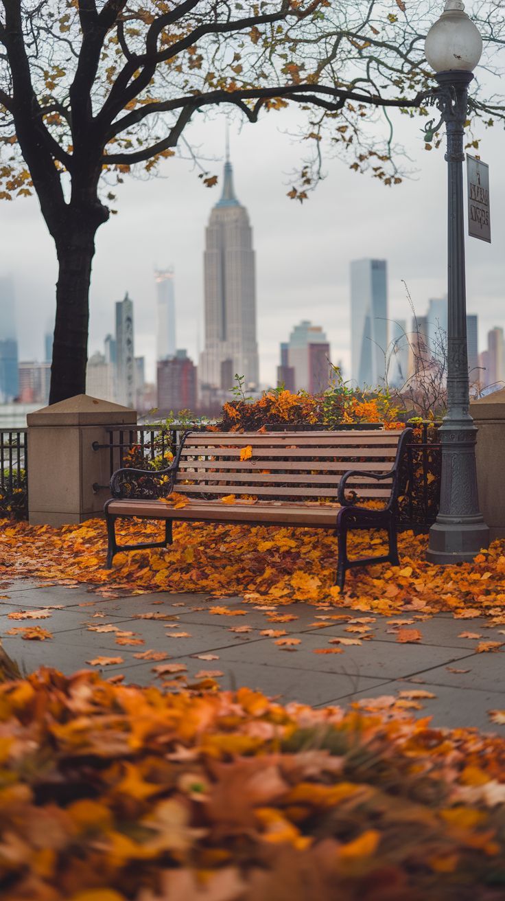 736x1312 Autumn Central Park iPhone Wallpaper