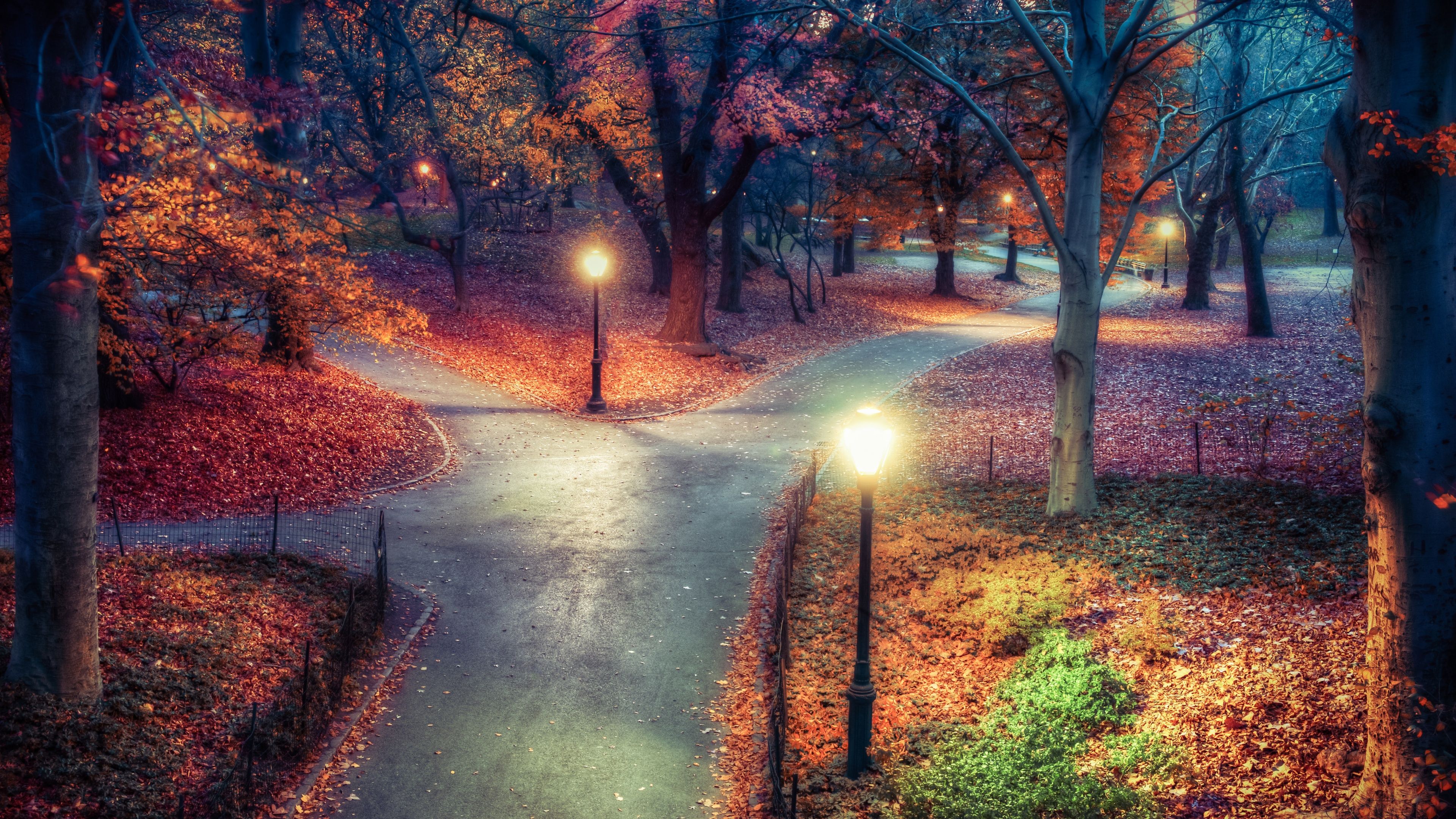 3840x2160 Central Park Wallpaper 4K, New York City, Autumn leaves
