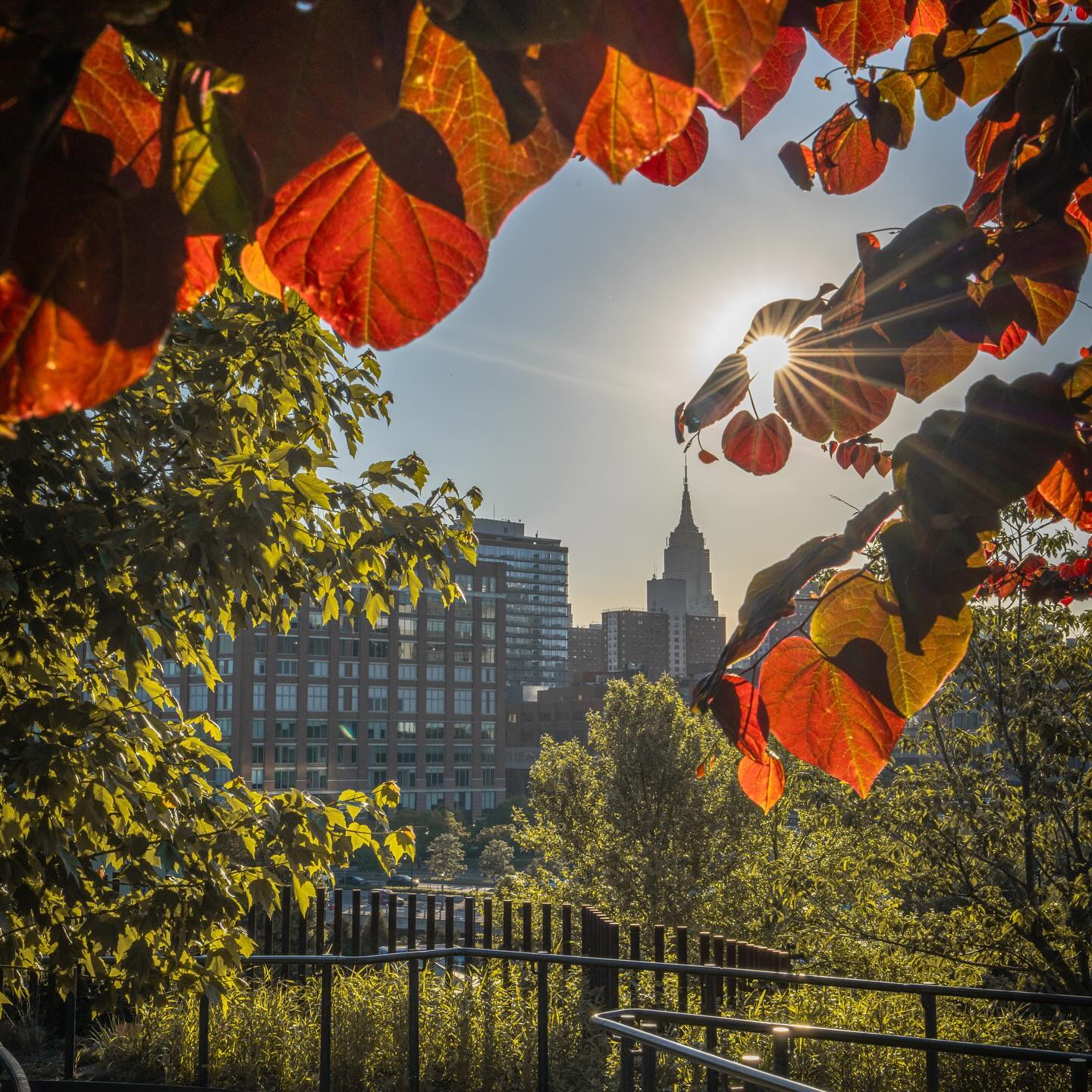 1440x1440 Discover the Perfect Fall Activities in NYC. Empire State Building