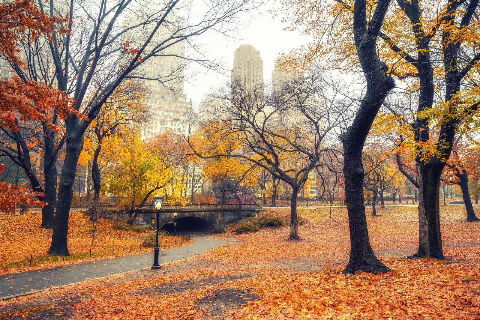 1600x1067 Why autumn is the best season in NYC. Condé Nast Traveller Middle East
