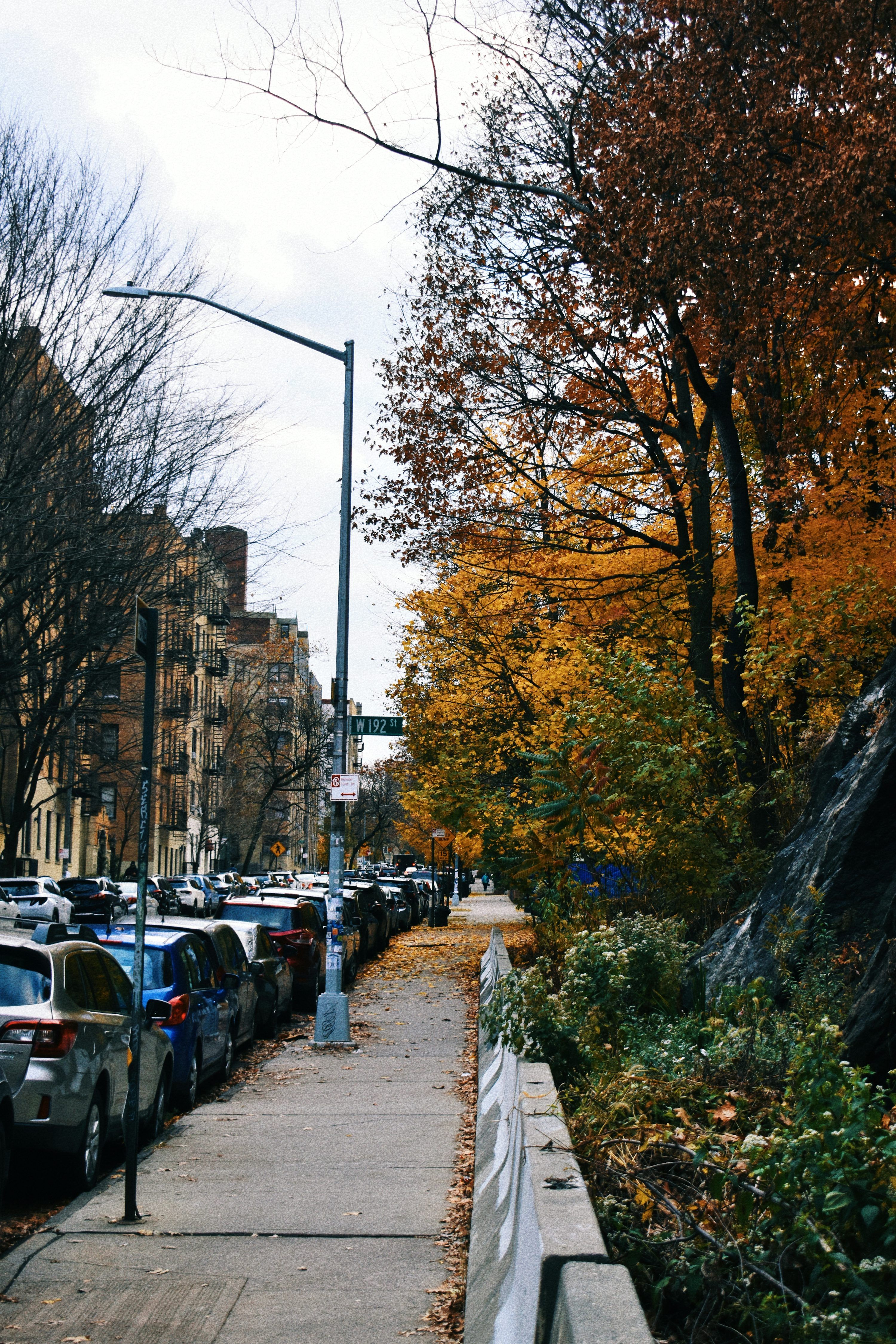3000x4500 Autumn New York Picture. Download Free Image