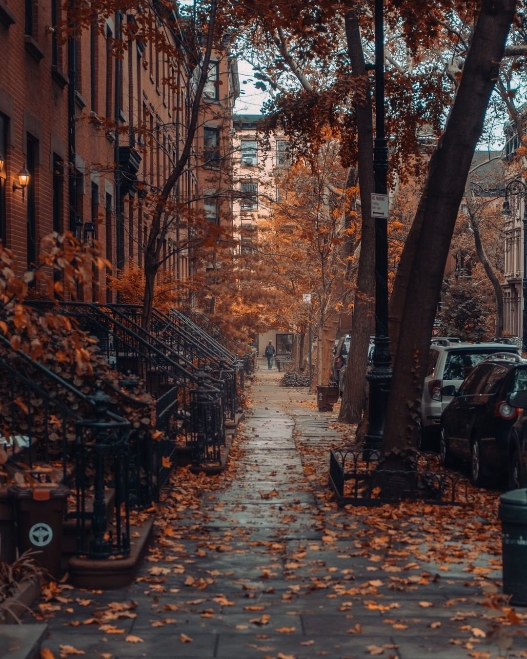 1080x1350 Street in Brooklyn Heights after the autumn rain, Brooklyn, New York City
