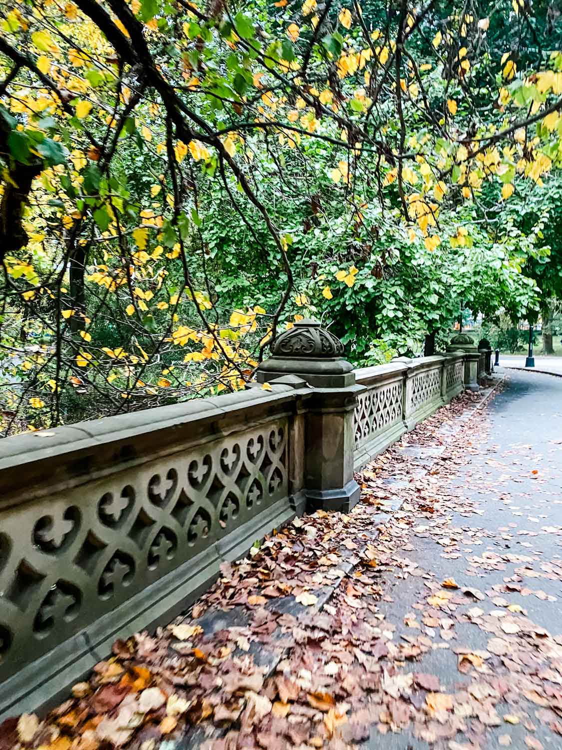 1125x1500 A Perfect Fall Day in Central Park, New York City. Most Lovely Things