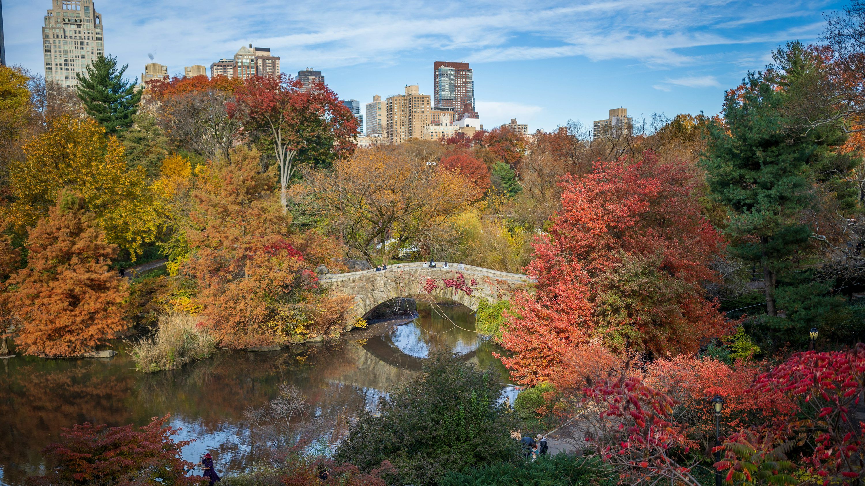 3000x1688 Fall Nyc Picture. Download Free Image