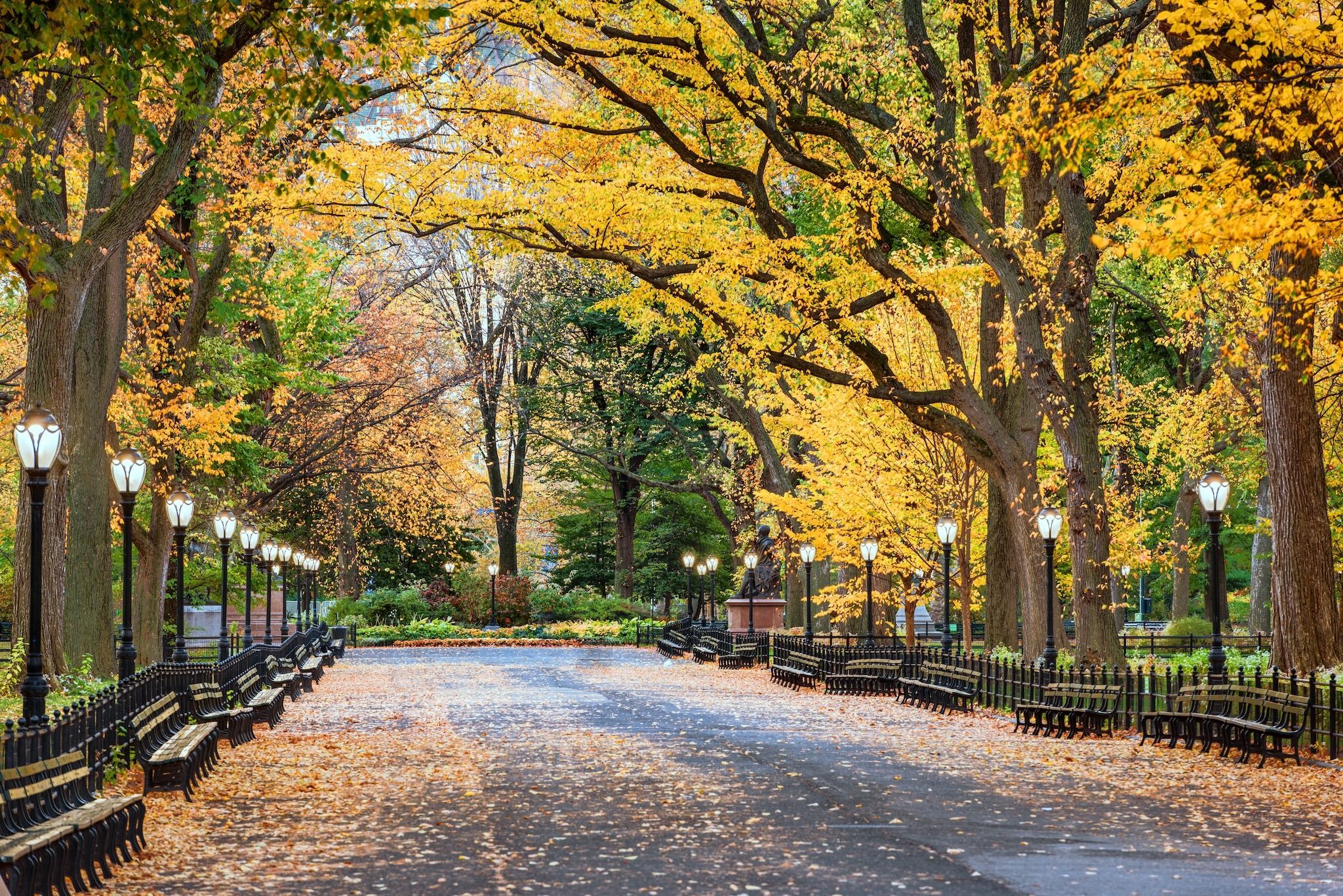 2048x1367 The Best Fall Activities in NYC Right Now, Including Festivals and Halloween Events