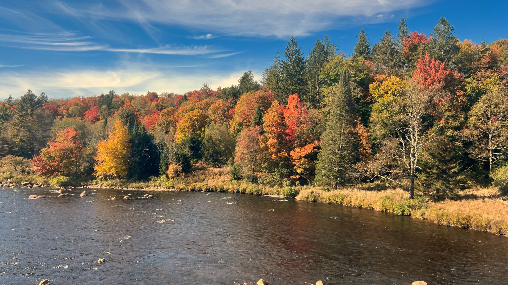 1920x1080 November Weather in New York: Chasing Autumn's Splendor York Rental By Owner