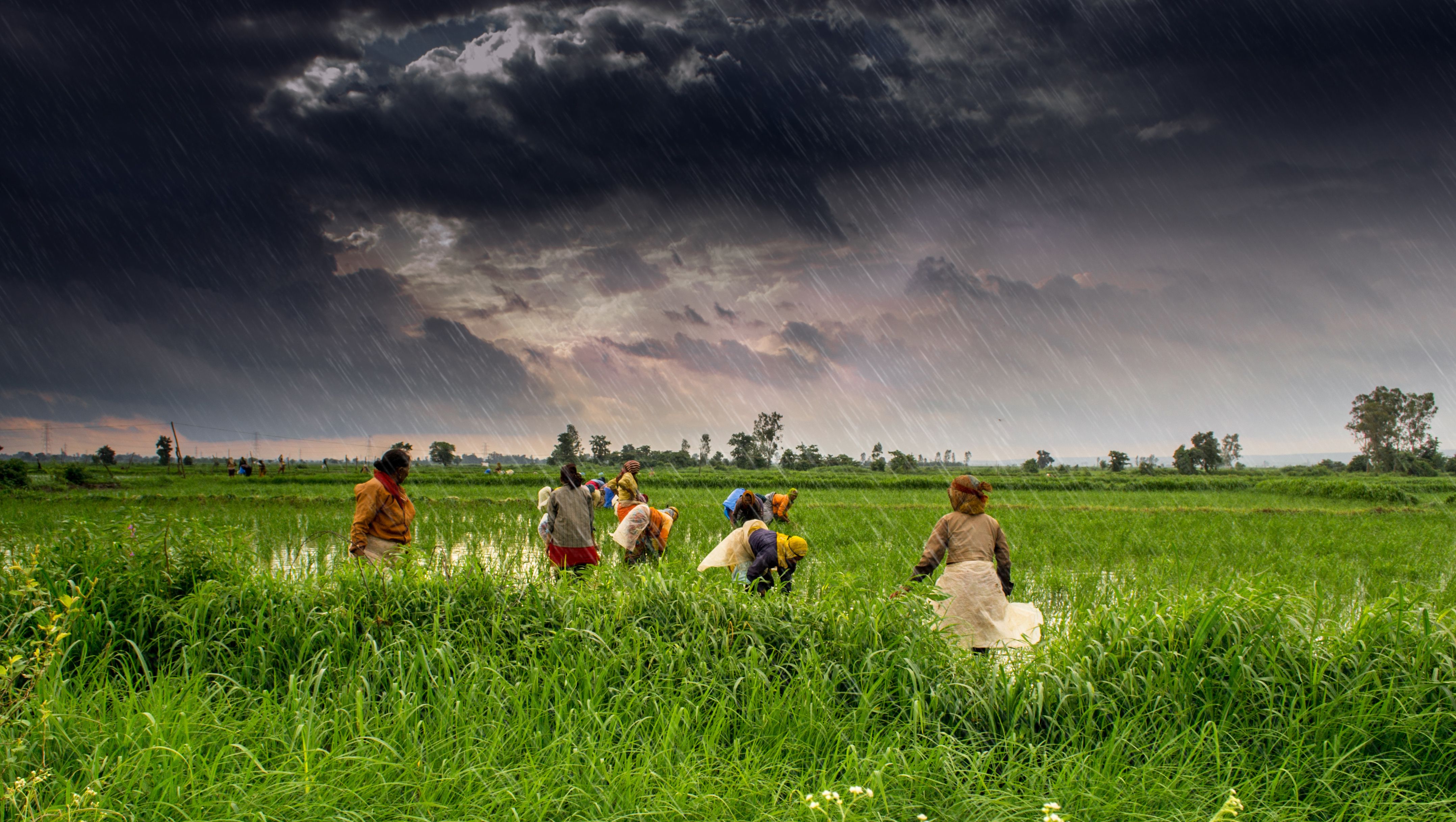4311x2435 (1) Agriculture and rural farms of