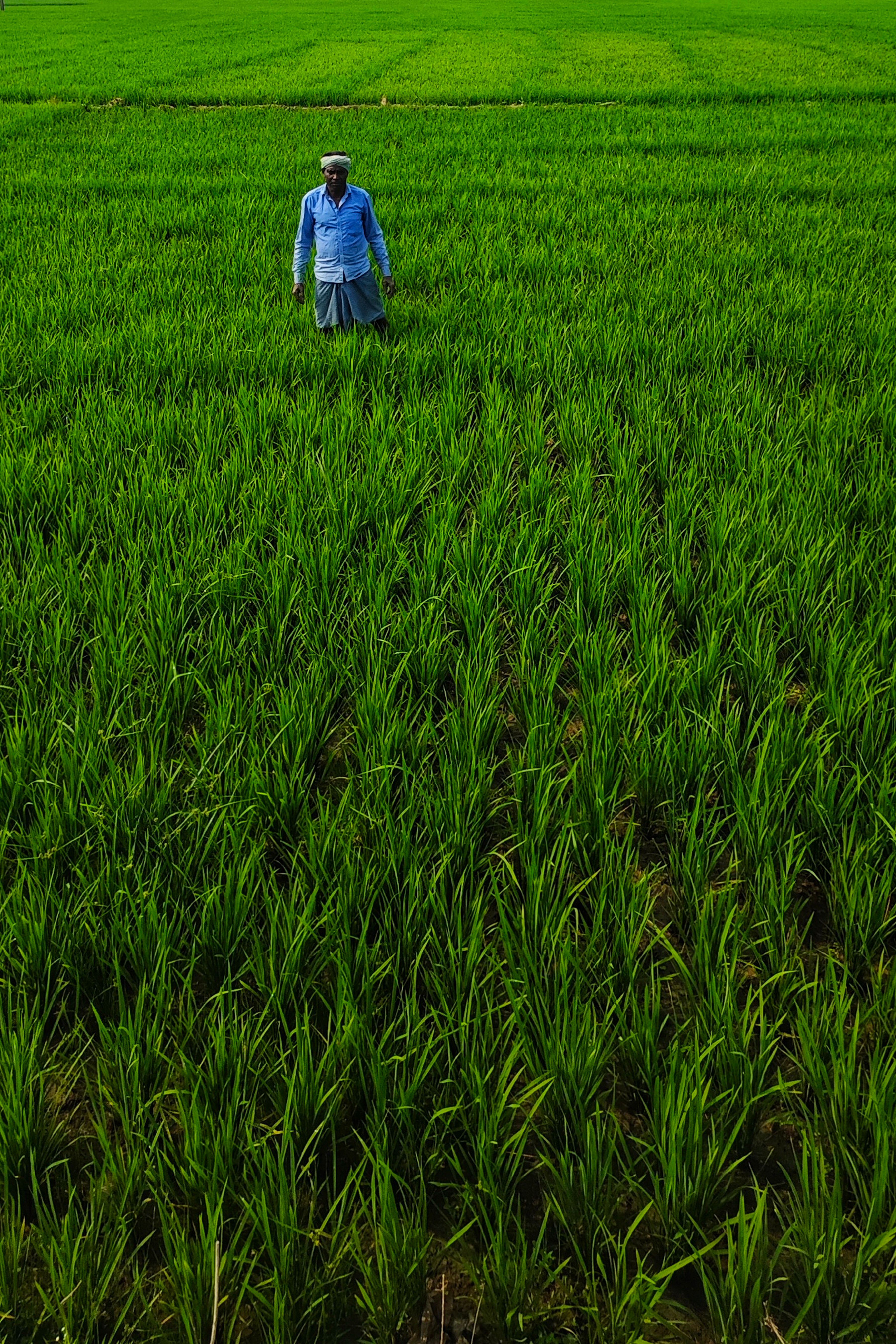 3600x5400 Indian Farmer Photo, Download The BEST Free Indian Farmer & HD Image