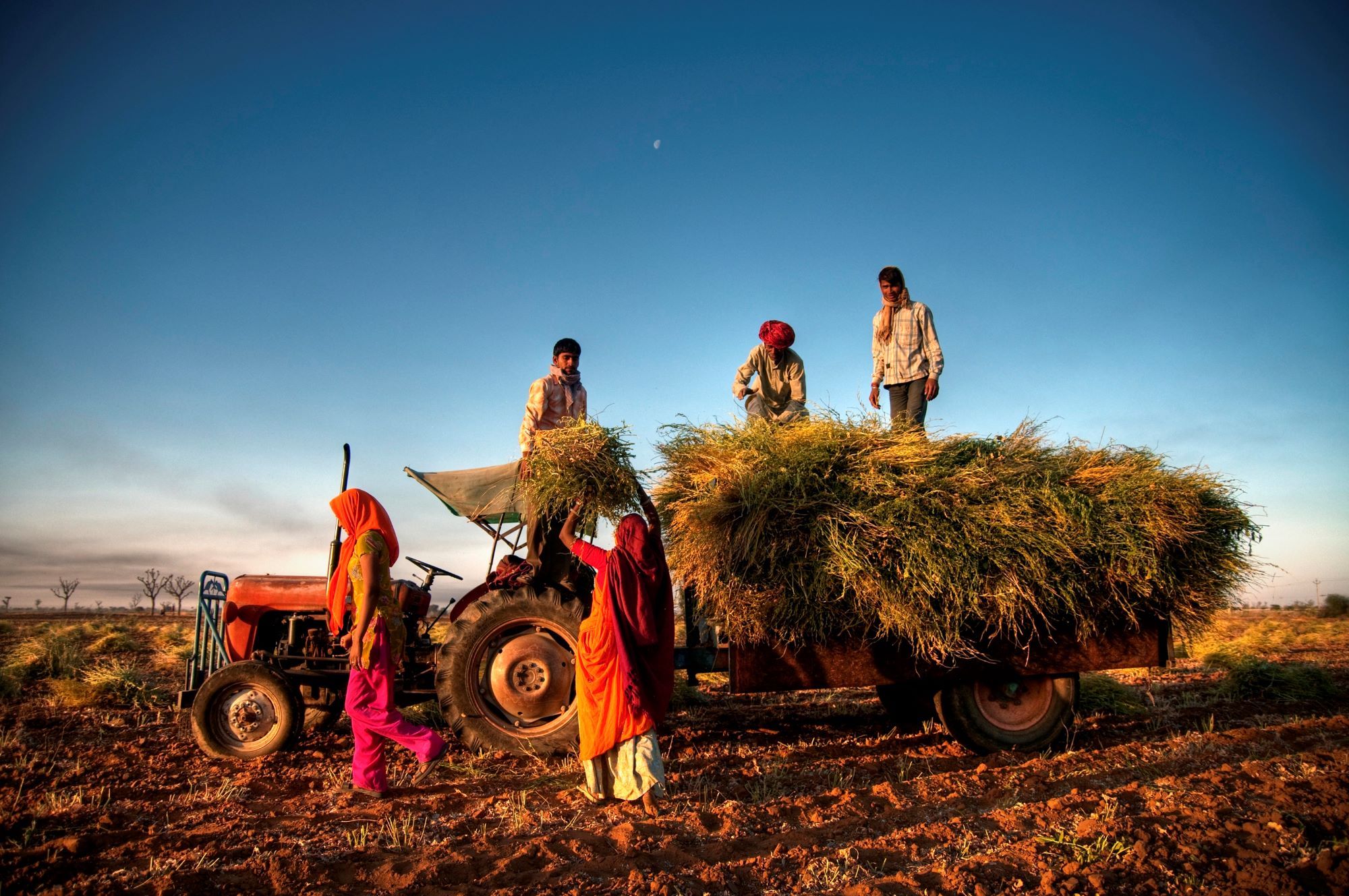 2000x1329 Sustainable Finance Flows to India's Agriculture Sector