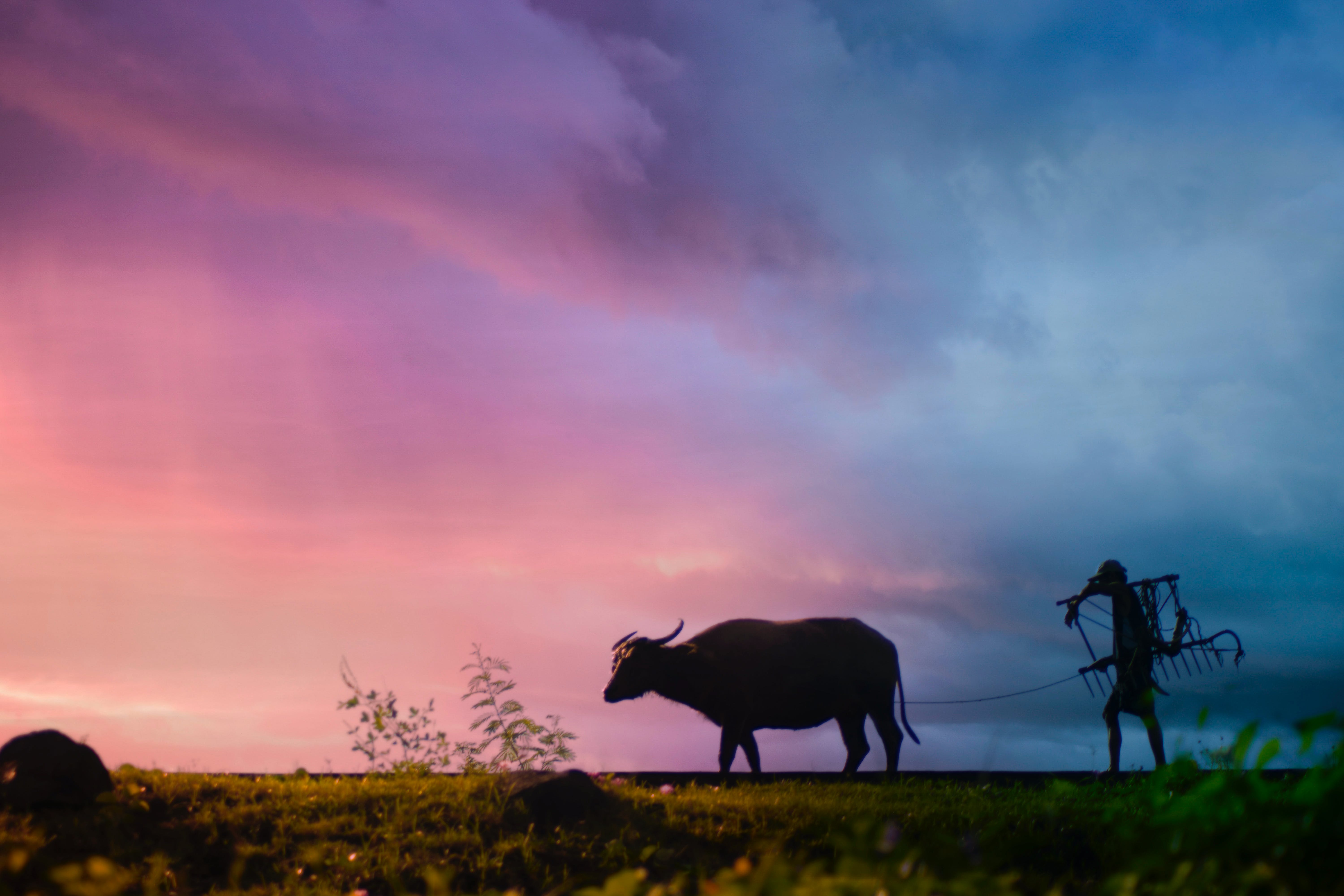 6000x4000 Farmer 4k Wallpaper