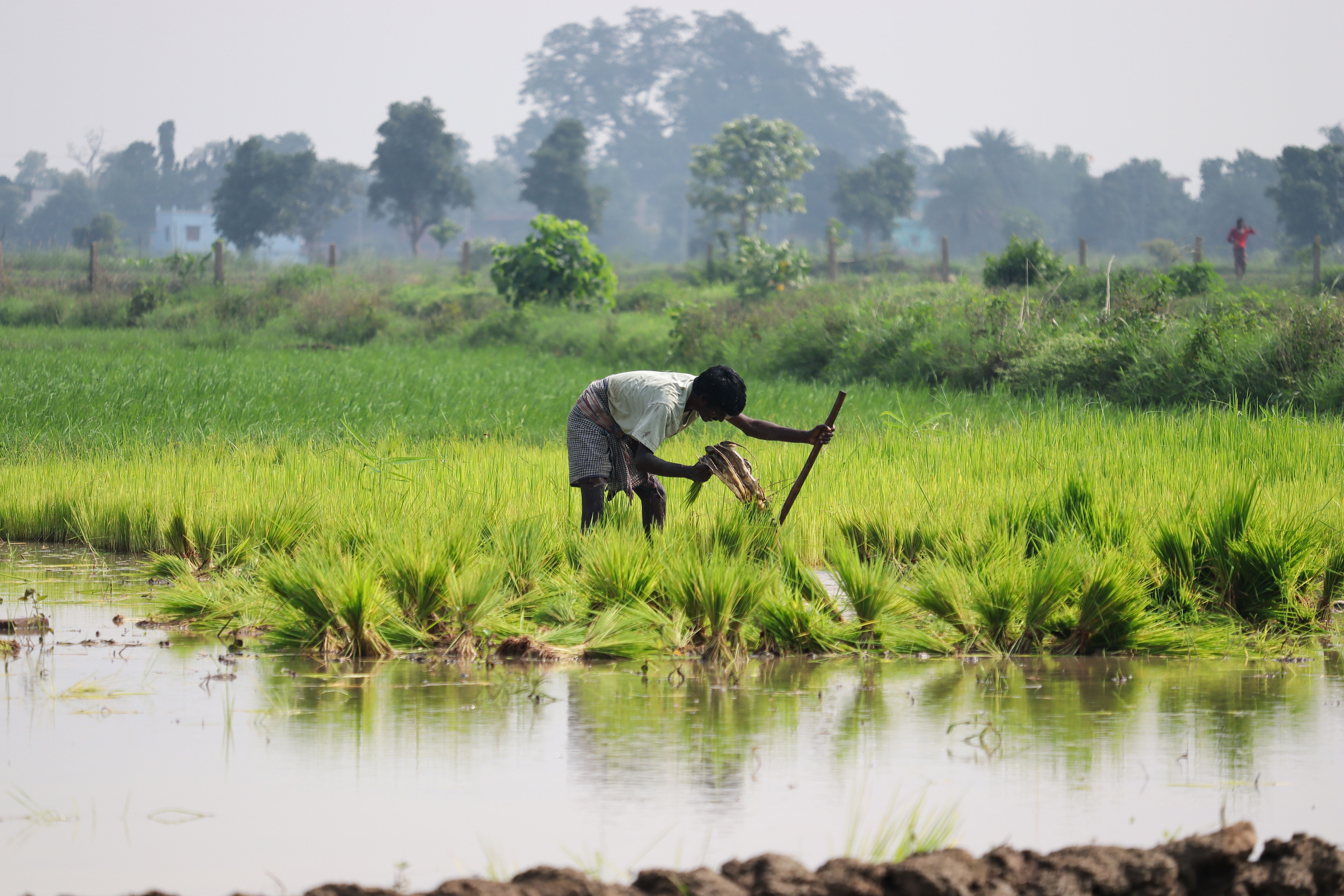 6000x4000 Indian Farmer Photo, Download The BEST Free Indian Farmer & HD Image