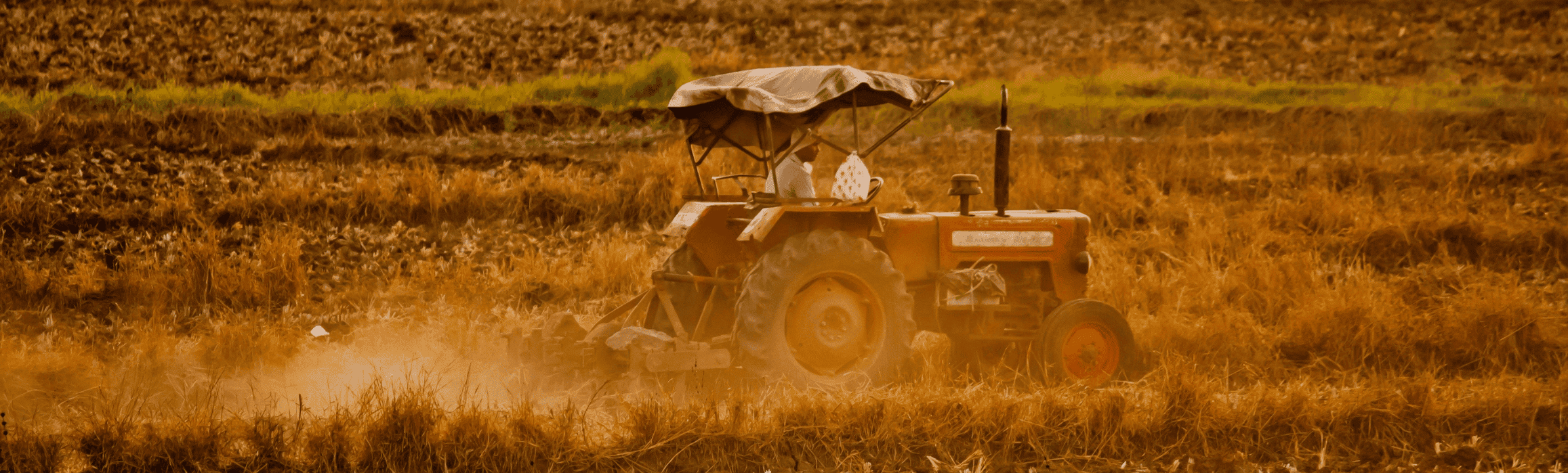 2314x699 Proven Best Farming Practices in India That Boost Yield Fast