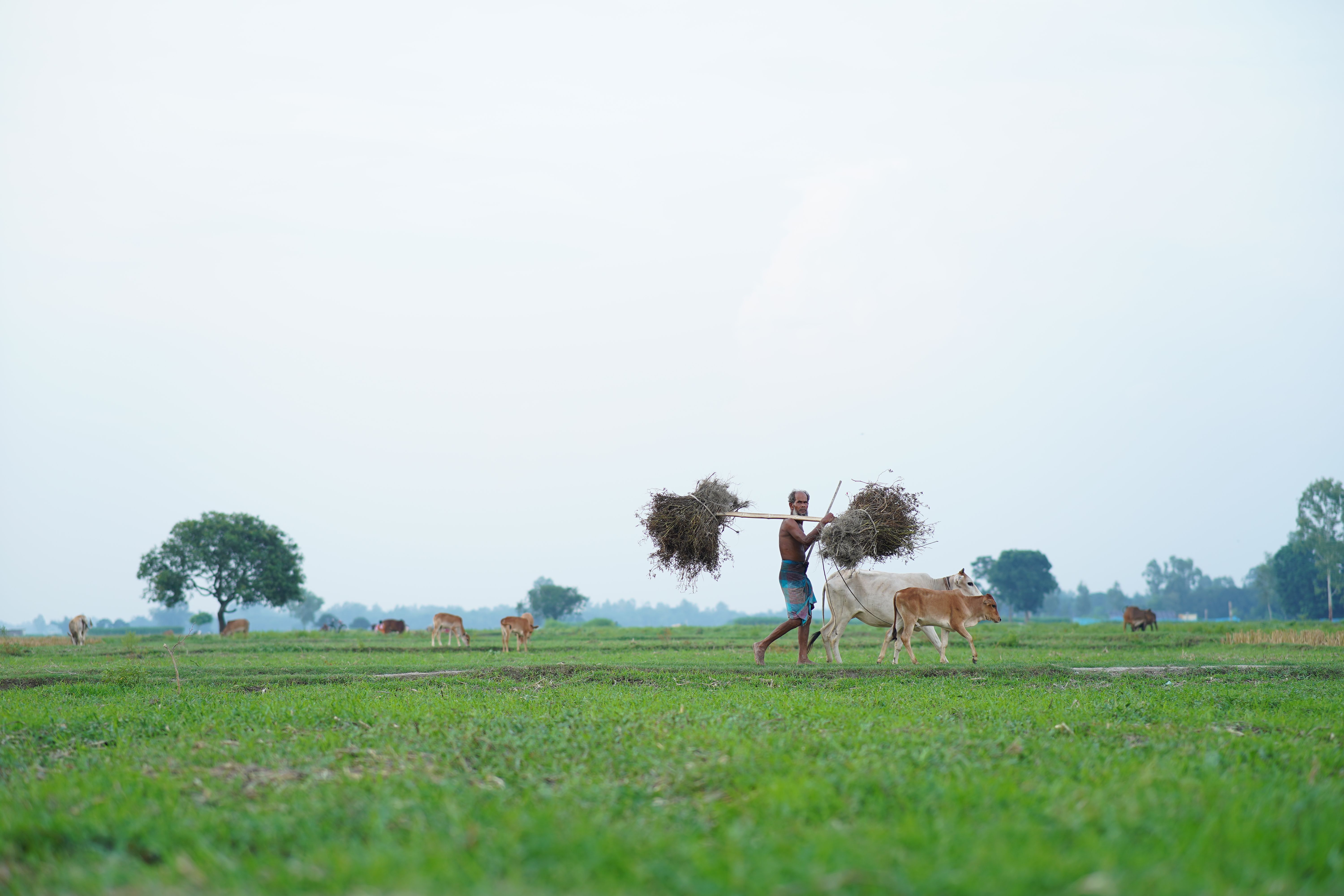 6000x4000 Farmer In Village Photo, Download The BEST Free Farmer In Village & HD Image