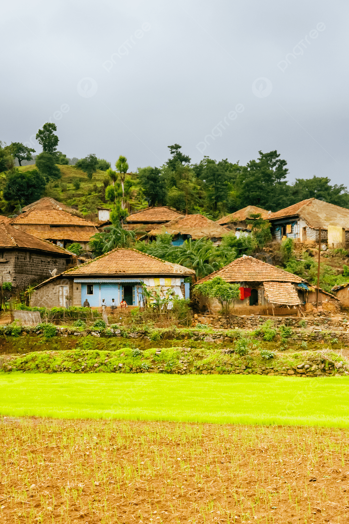1200x1800 Rural Farming Community In India Agriculture People Grass Photo Background And Picture For Free Download
