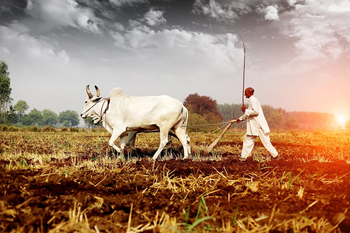 1200x800 India Braces For El Nino: 200 High Risk Districts, Weak Monsoon Forecast Puts Agriculture Ministry On Alert