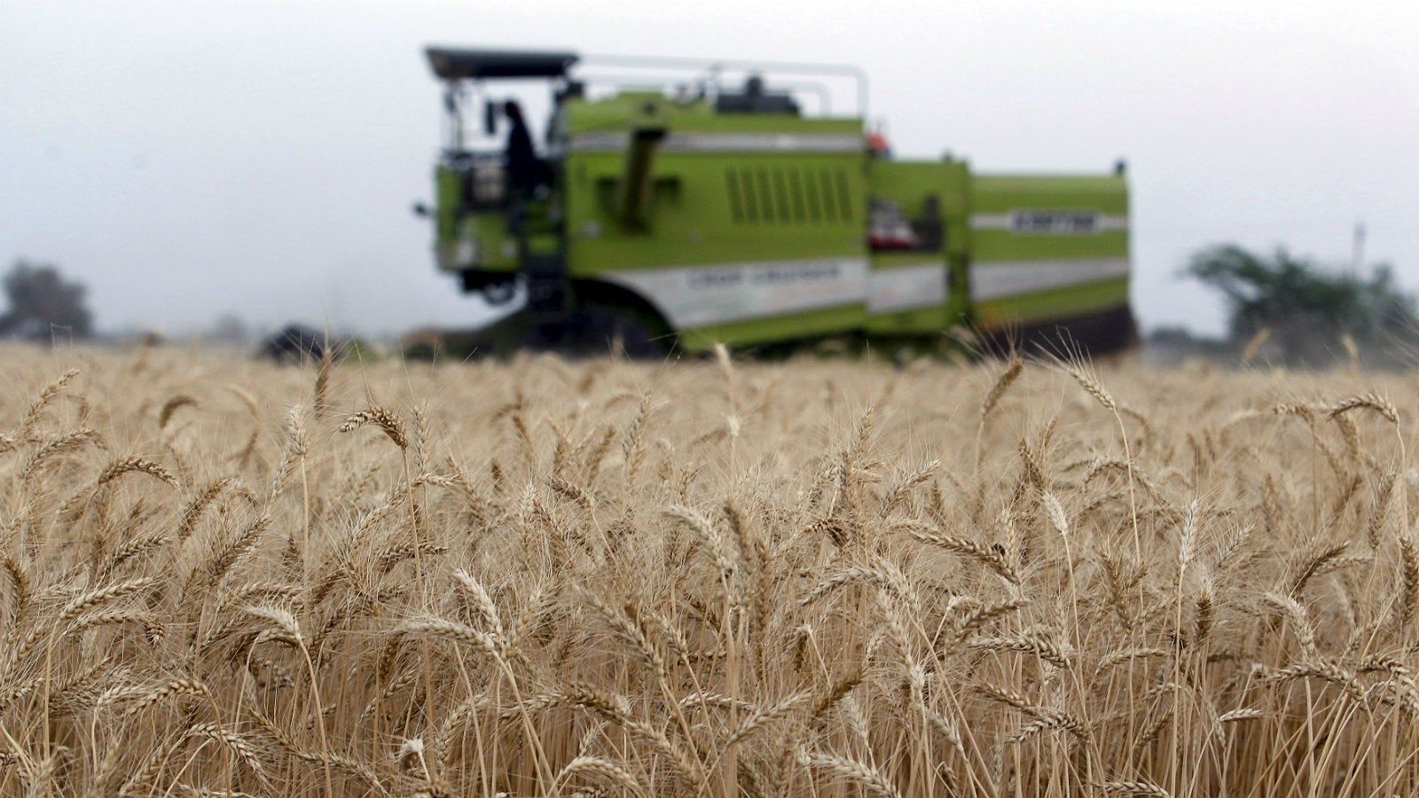 1600x900 There's a private equity drought in India's farming sector