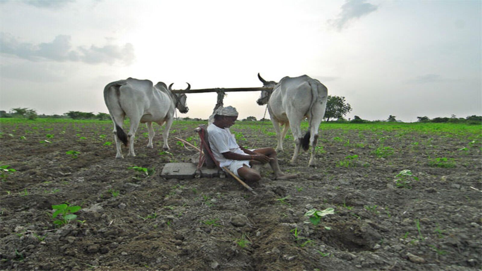 1600x900 Agriculture sector: View: Is Indian farmer destined to live in destitution and die in debt? Economic Times