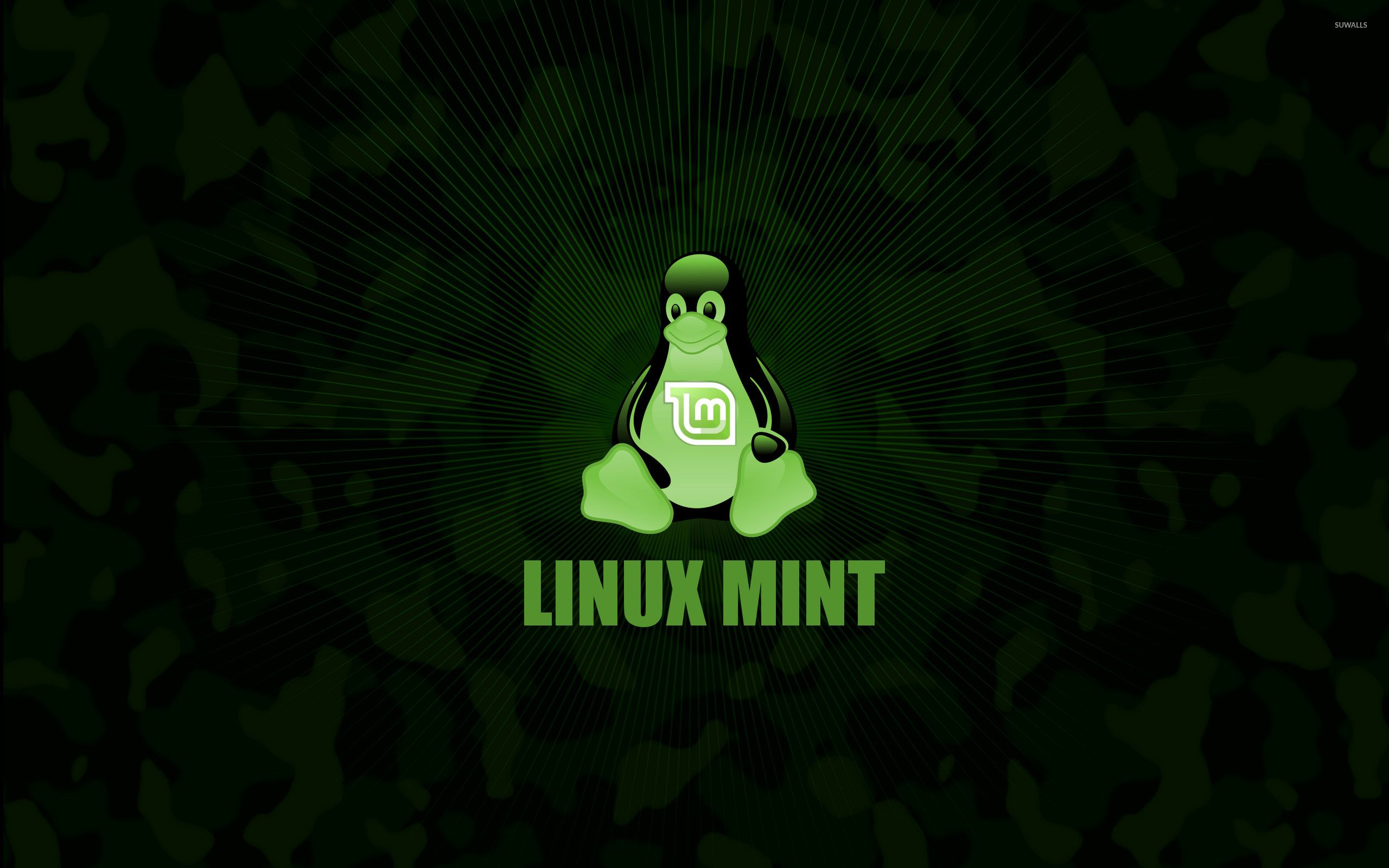 2560x1600 Linux Mint [2] wallpaper wallpaper