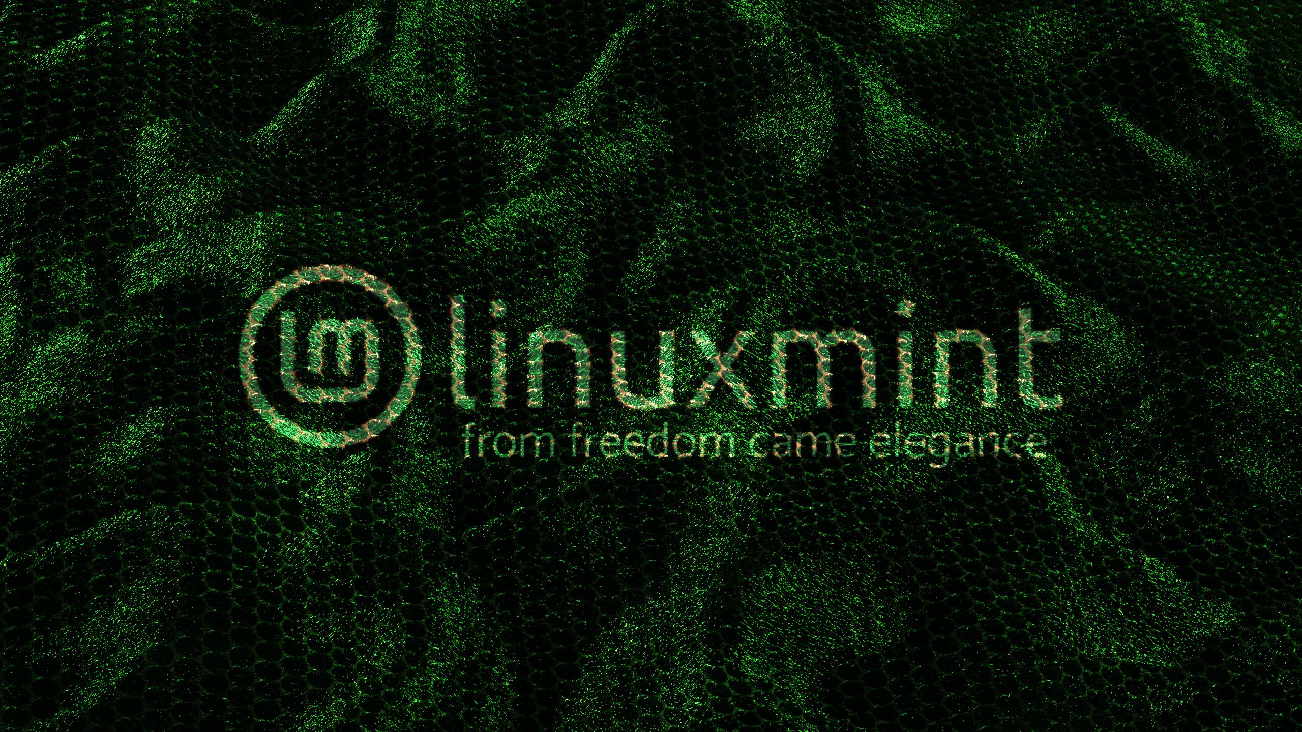 2560x1440 Phone wallpaper: Linux, Technology, Linux Mint 1060321